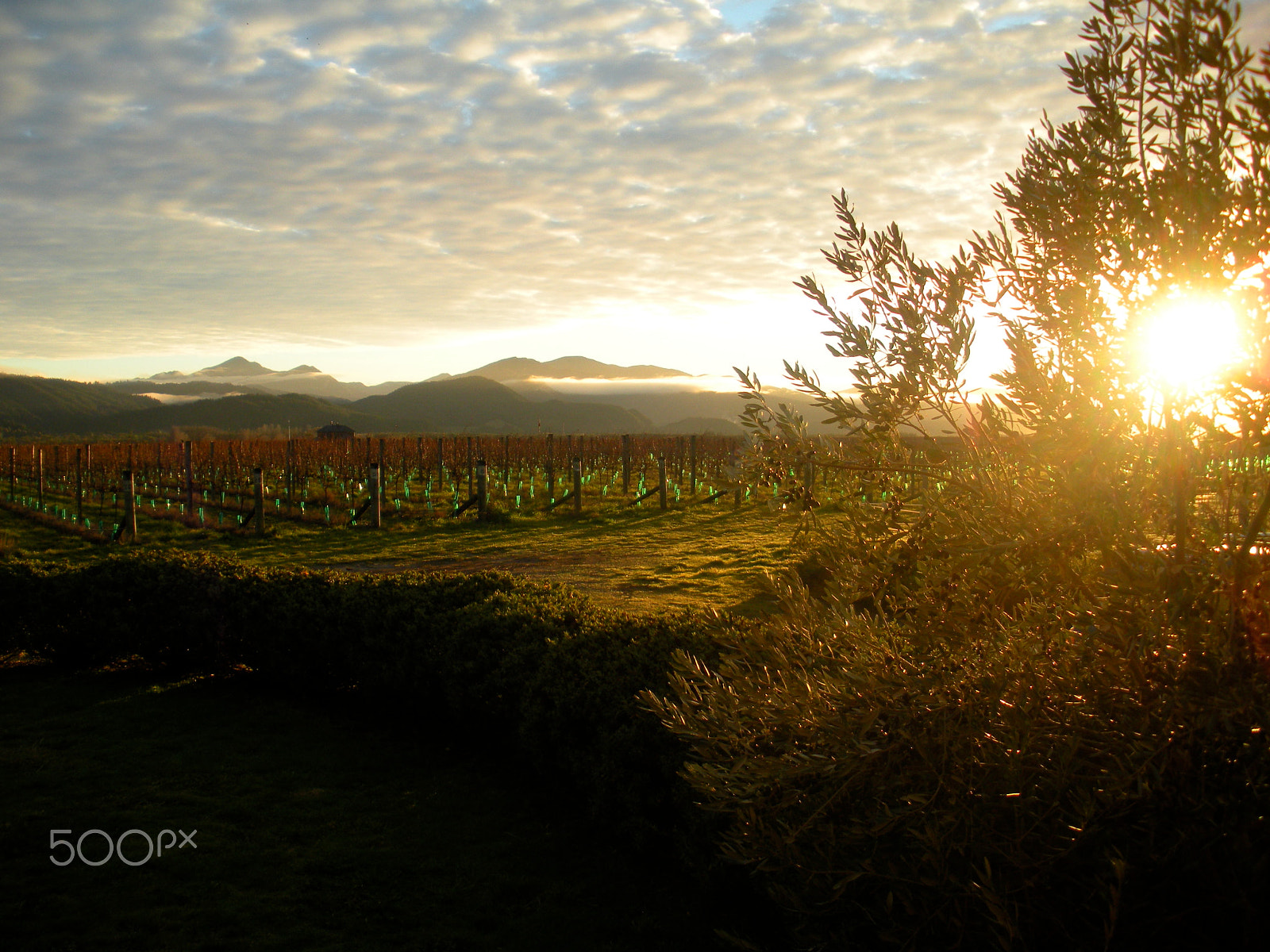 Nikon Coolpix S550 sample photo. Long golden light, nz photography