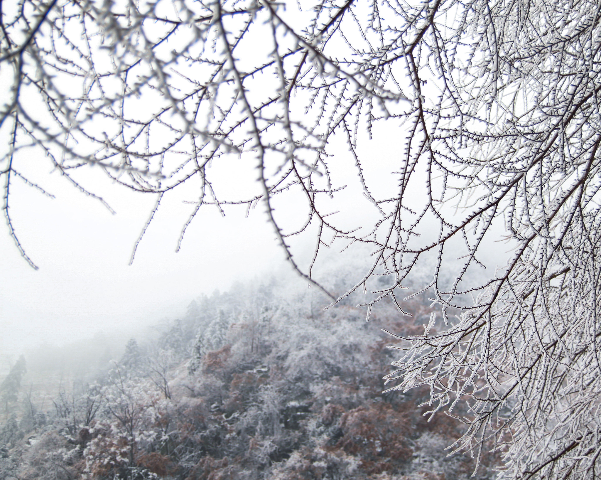 Tamron SP AF 17-50mm F2.8 XR Di II LD Aspherical (IF) sample photo. Snowing photography