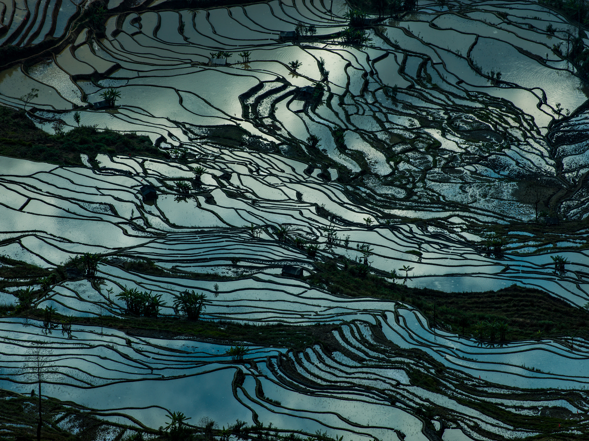 Hasselblad H5D + HC 300 sample photo. Yuanyang terraced landscape photography