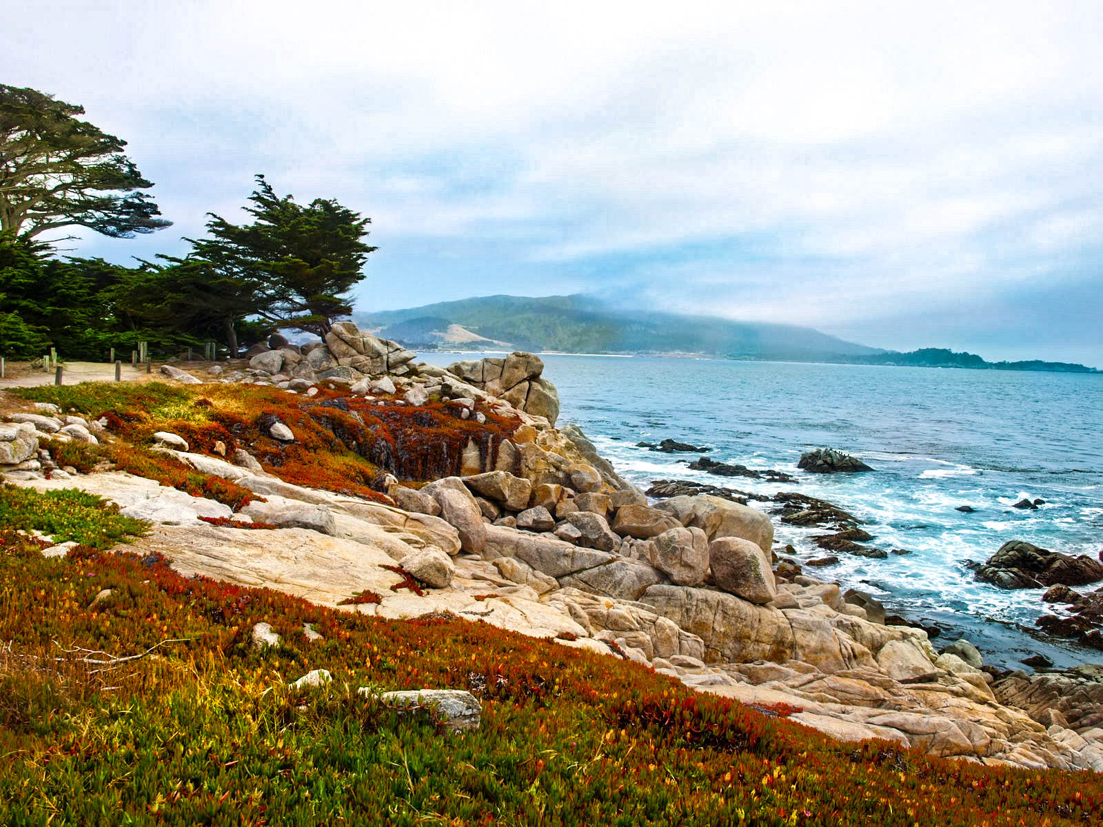 Olympus E-520 (EVOLT E-520) + OLYMPUS 14-42mm Lens sample photo. California 16 mile drive photography