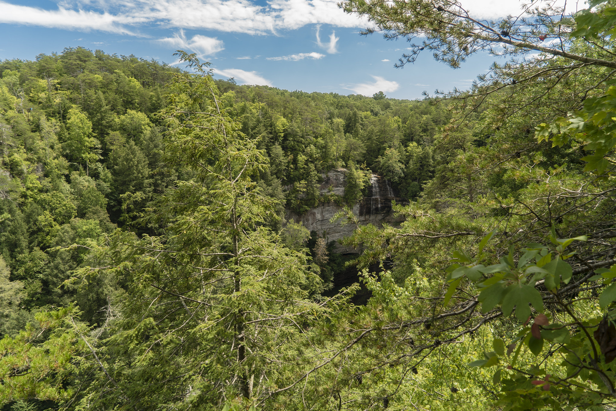 Sony a7S II + Sony Vario Tessar T* FE 24-70mm F4 ZA OSS sample photo. Fall creek falls, tn photography