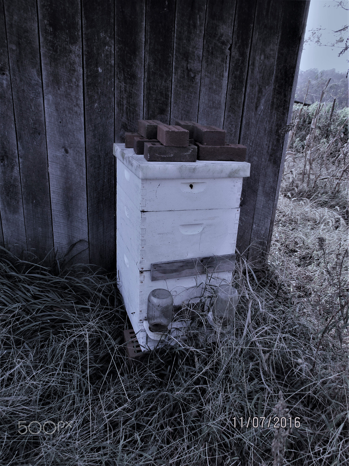 Canon PowerShot ELPH 160 (IXUS 160 / IXY 150) sample photo. Beehive photography