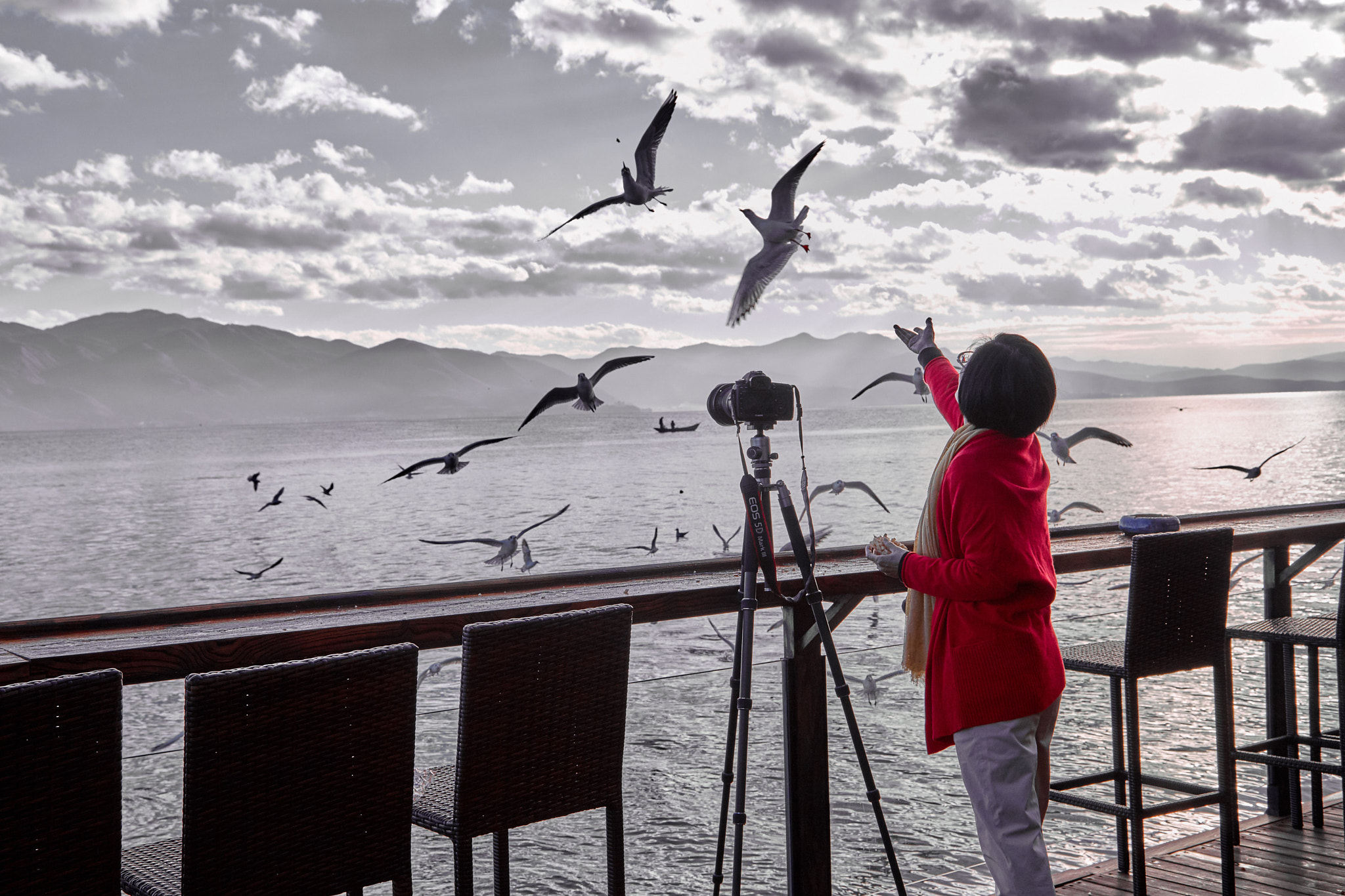 Canon EF 24-105mm F4L IS USM sample photo. Feeding of seagulls photography