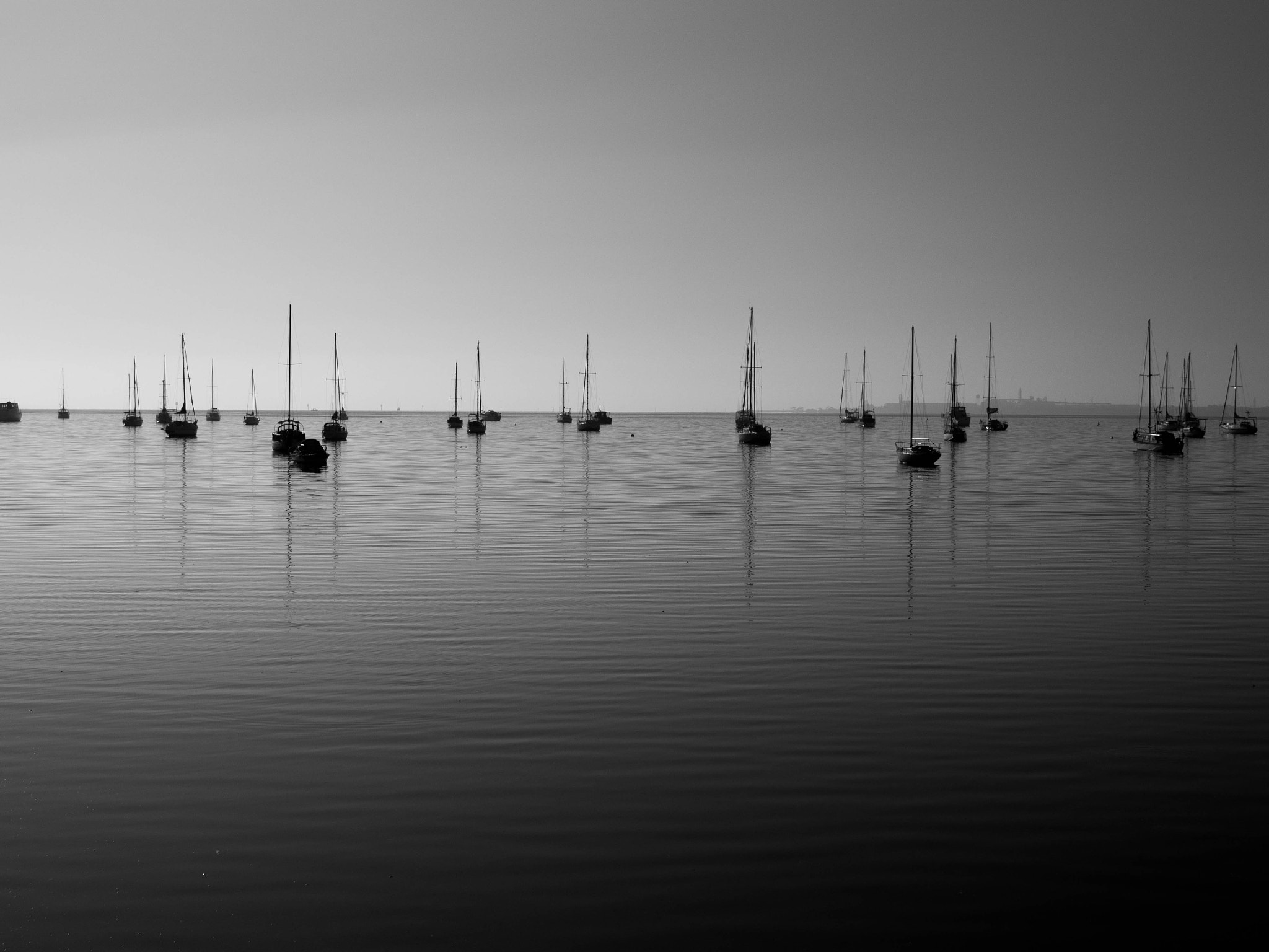 Olympus OM-D E-M5 sample photo. Geelong bay photography