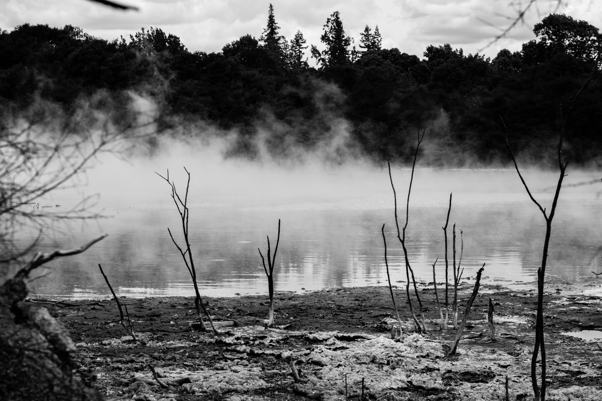 Canon EOS 80D + Sigma 24-70mm F2.8 EX DG Macro sample photo. Smoke on the water photography