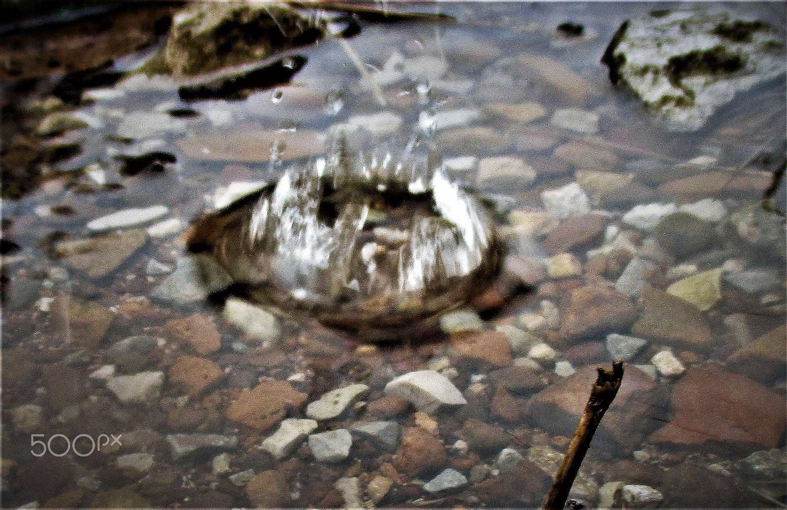 Canon PowerShot ELPH 160 (IXUS 160 / IXY 150) sample photo. Splash photography