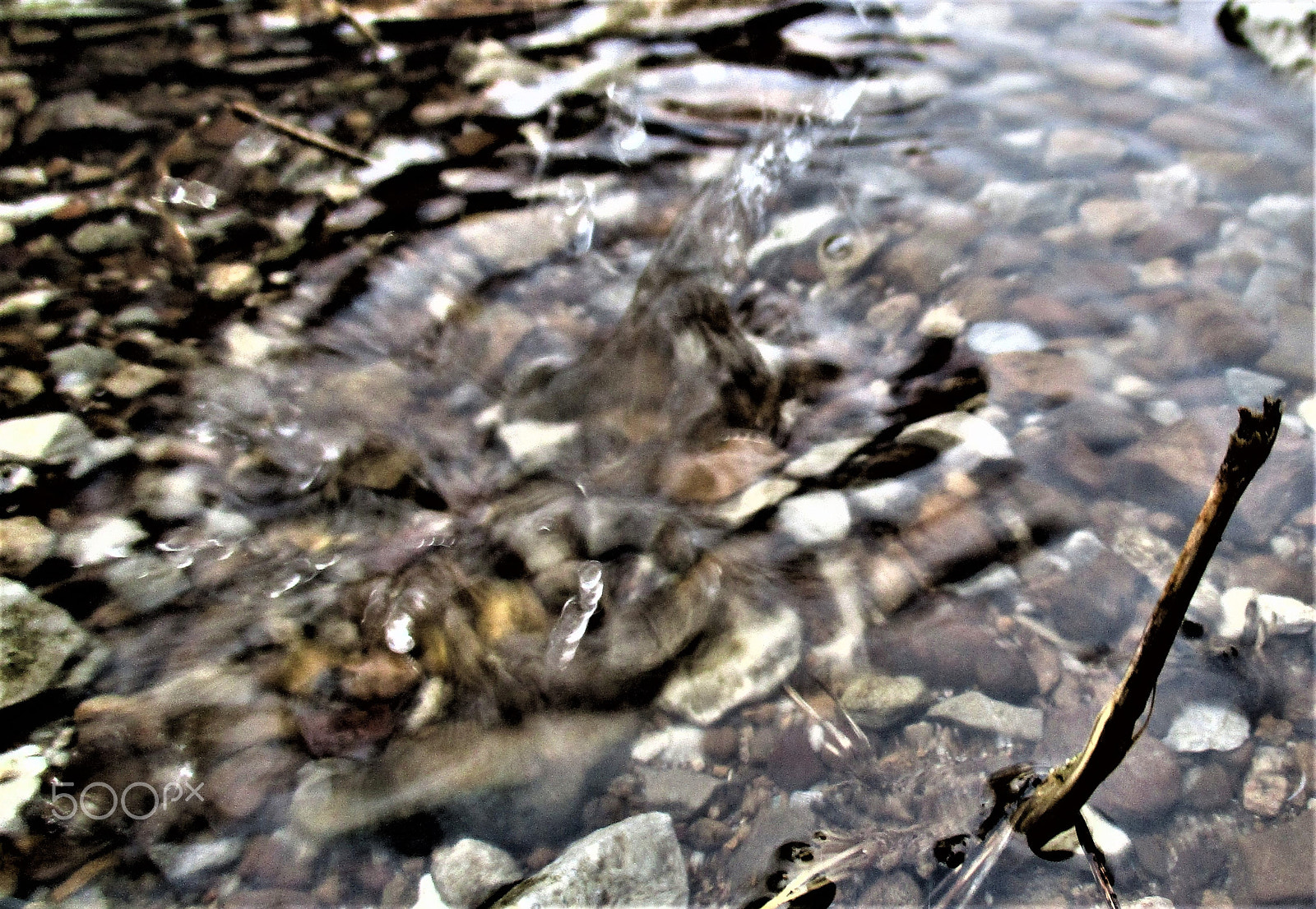 Canon PowerShot ELPH 160 (IXUS 160 / IXY 150) sample photo. Splash photography