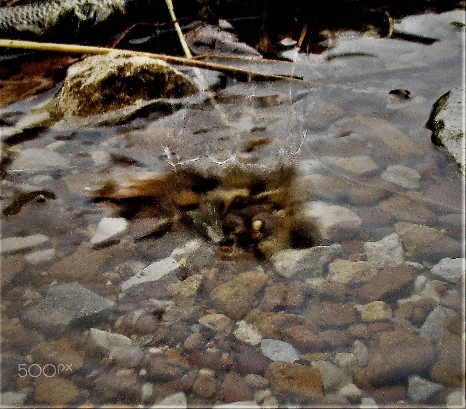 Canon PowerShot ELPH 160 (IXUS 160 / IXY 150) sample photo. Splash photography