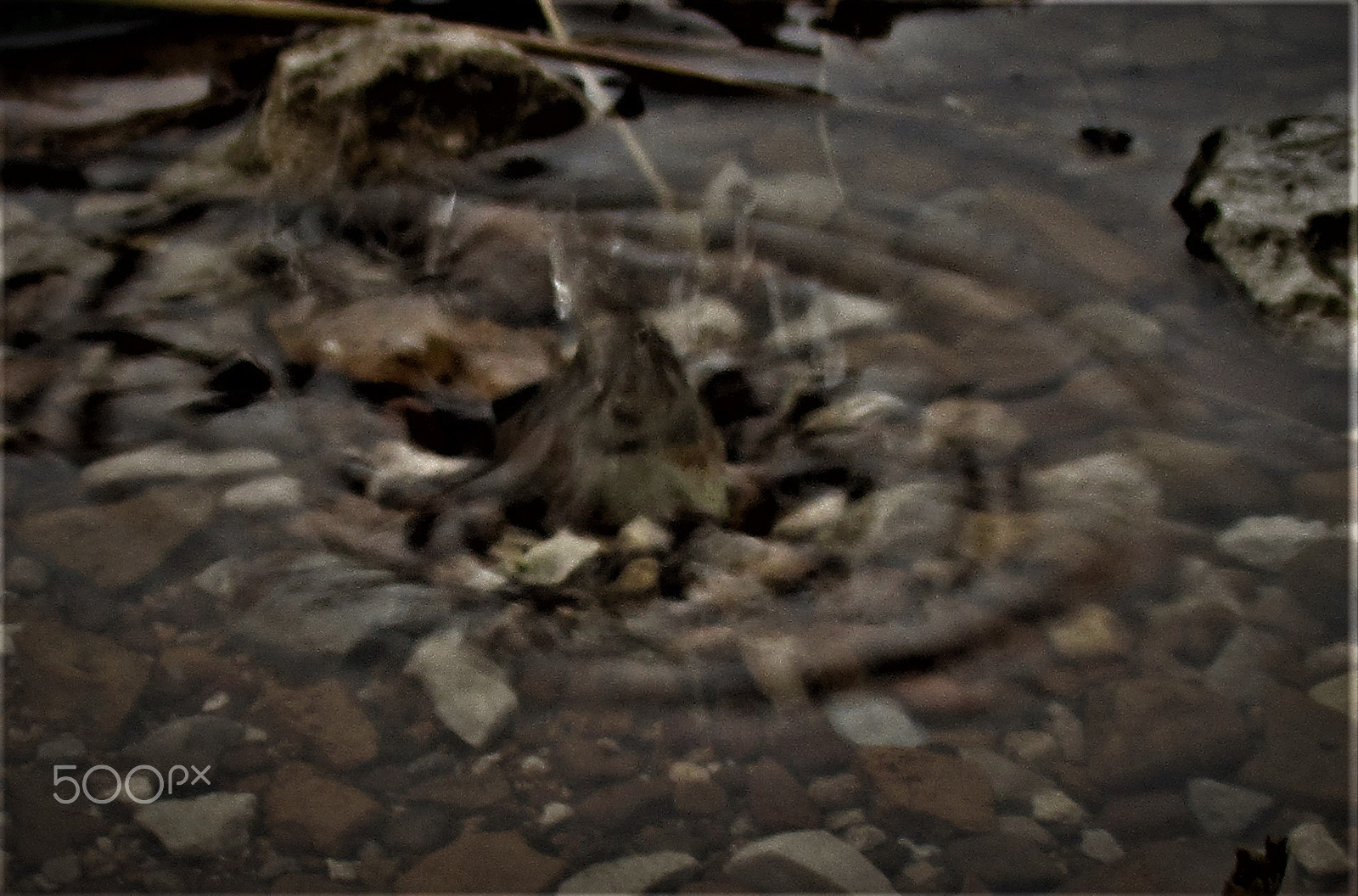 Canon PowerShot ELPH 160 (IXUS 160 / IXY 150) sample photo. Splash photography