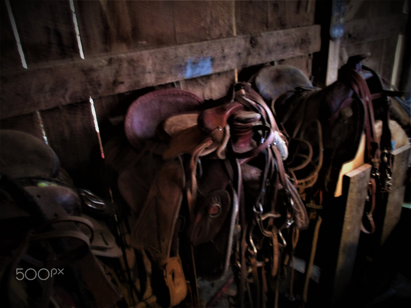 Canon PowerShot ELPH 160 (IXUS 160 / IXY 150) sample photo. Tack room photography