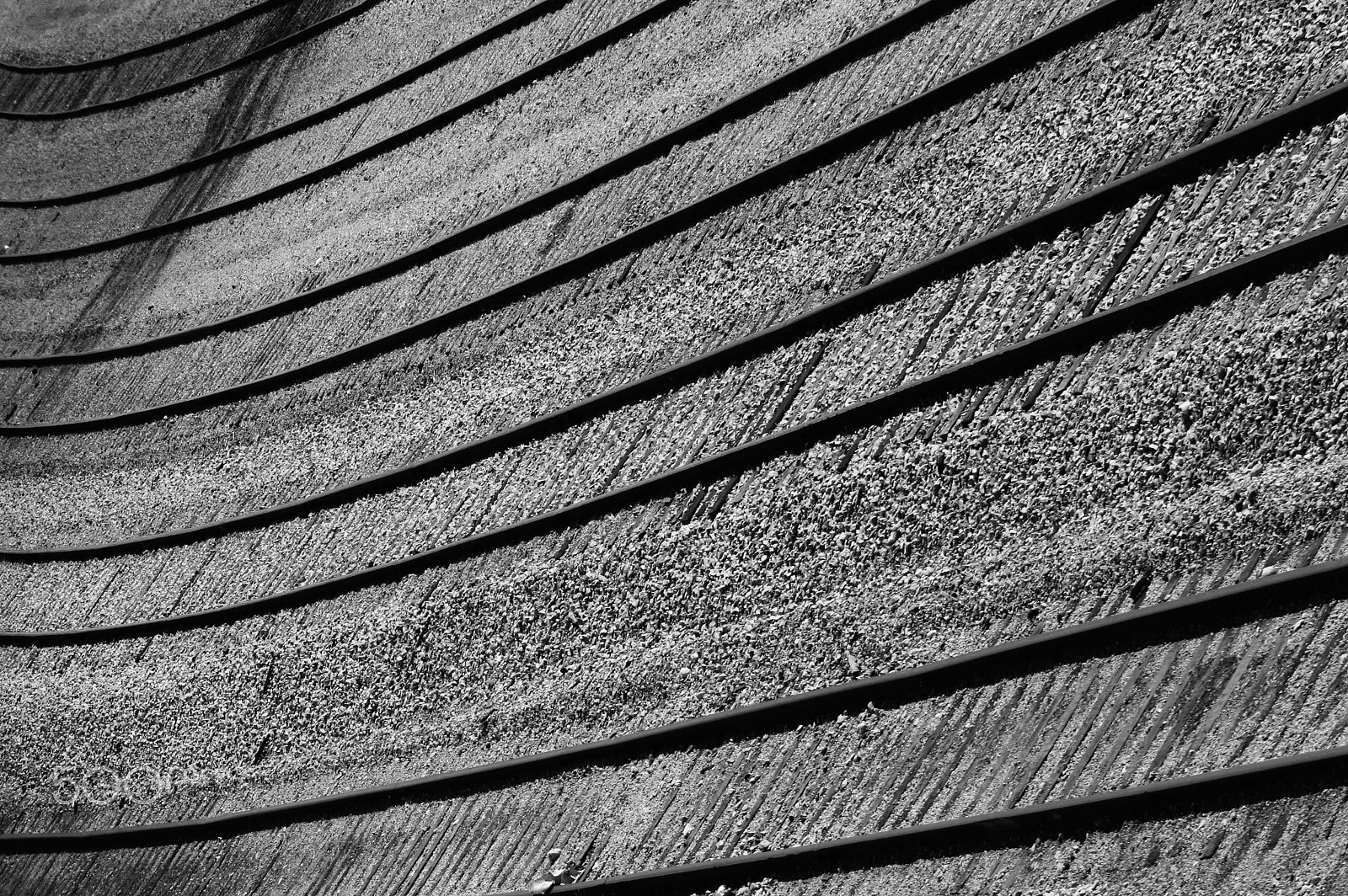Canon EOS 400D (EOS Digital Rebel XTi / EOS Kiss Digital X) sample photo. Tracks 1 photography