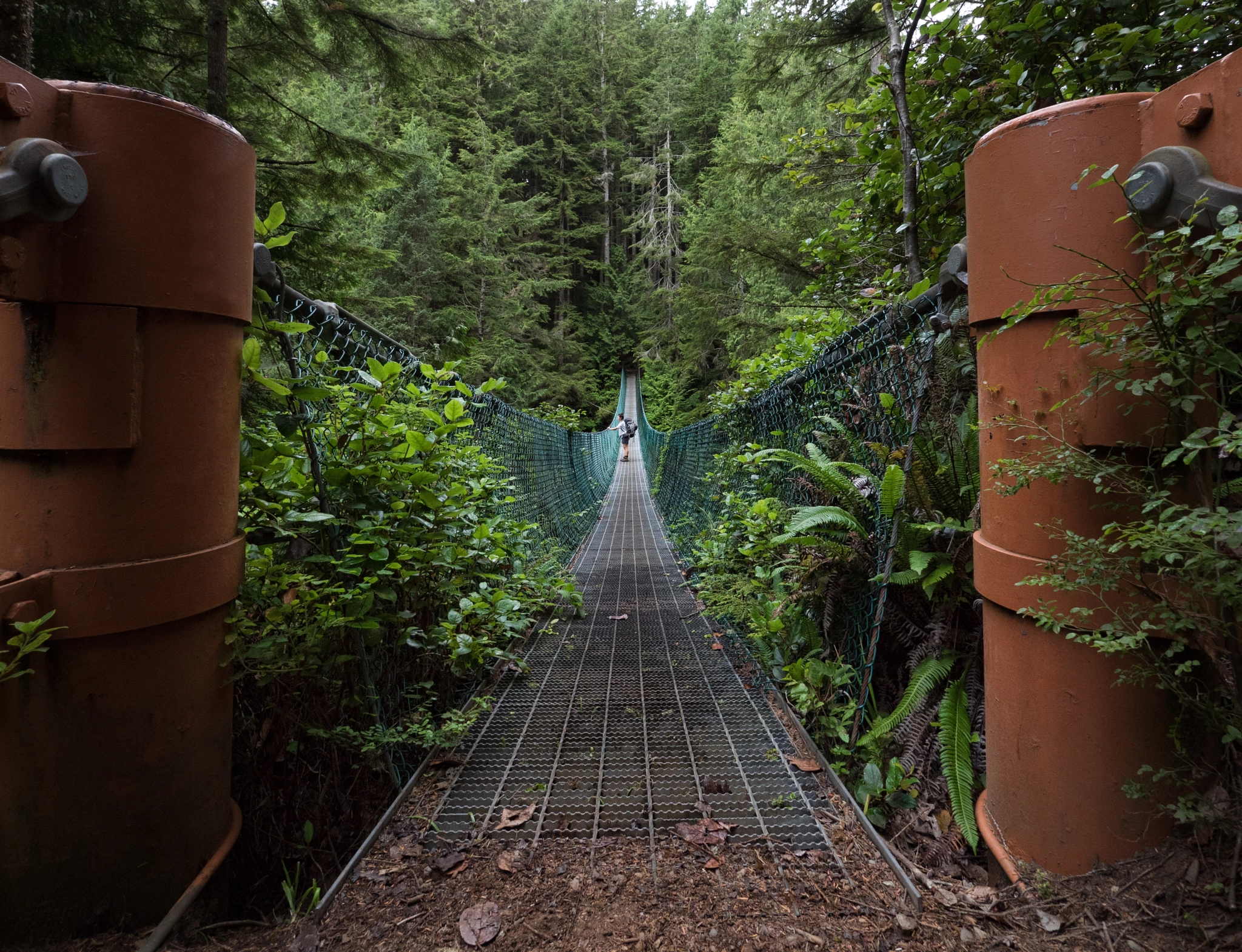 Panasonic Lumix DMC-GH4 + Panasonic Lumix G Vario 7-14mm F4 ASPH sample photo. Juan de fuca trail bridge photography