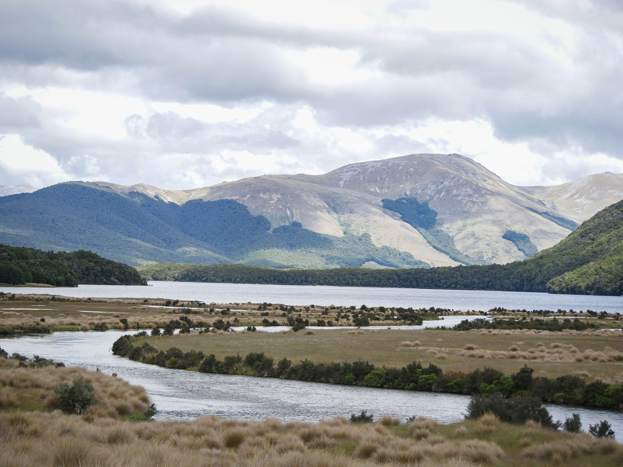 Panasonic Lumix G Vario 45-200mm F4-5.6 OIS sample photo. Rivers and fields photography