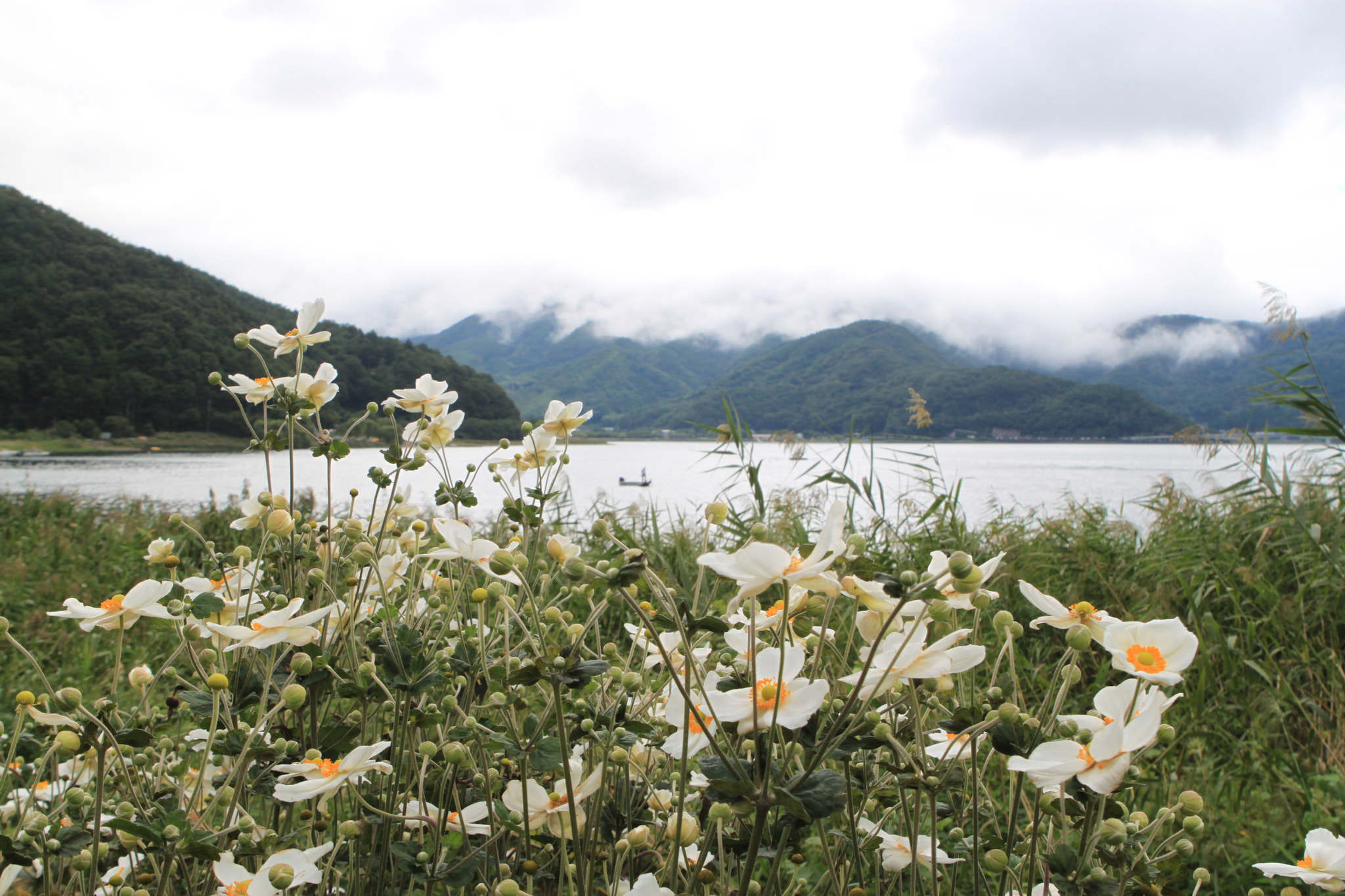 Canon EOS 500D (EOS Rebel T1i / EOS Kiss X3) sample photo. Kawaguchi lake. photography