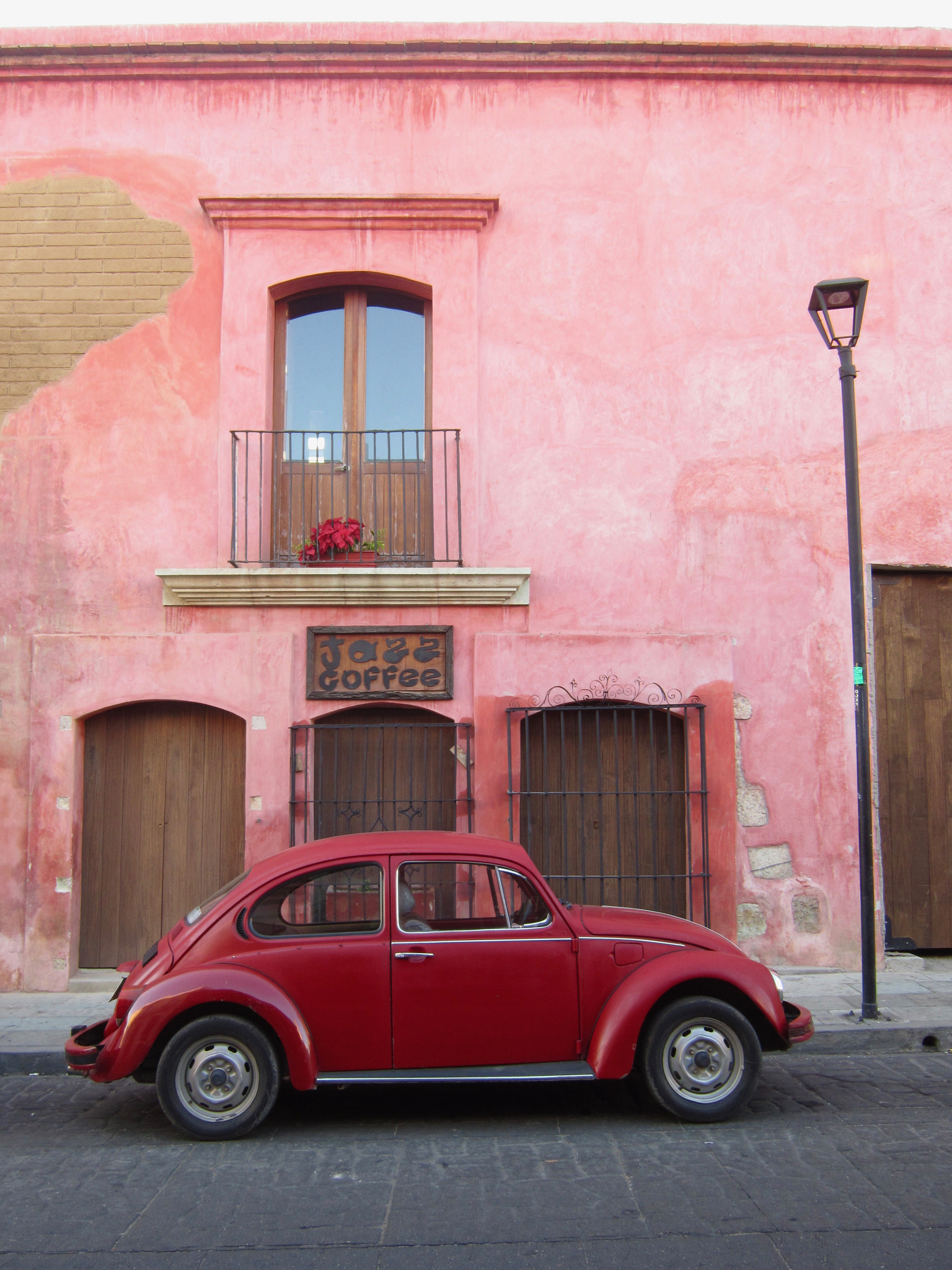 Canon PowerShot A3300 IS sample photo. Pink beetle photography