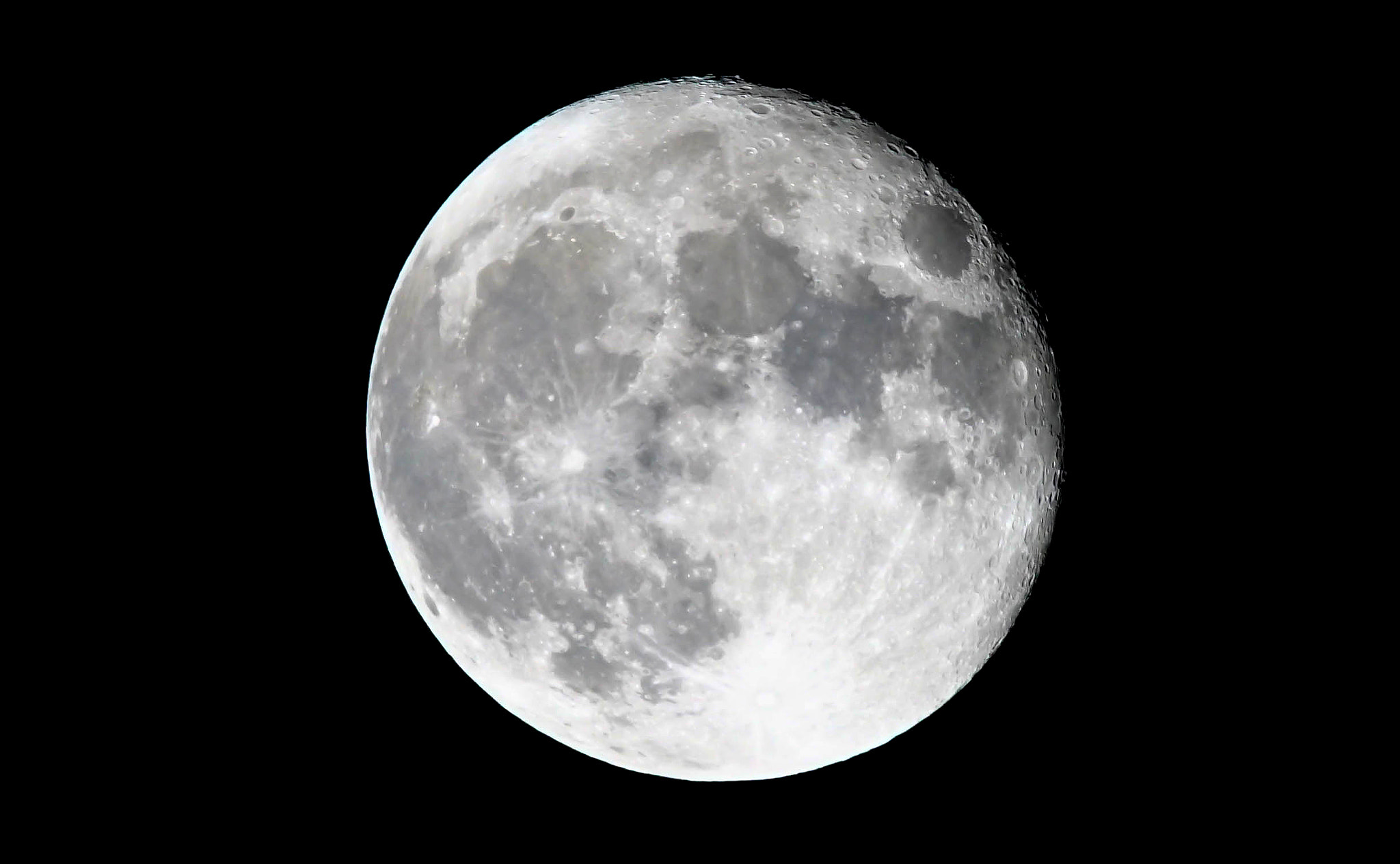 150-600mm F5-6.2 OSS sample photo. Looking out my backdoor  photography