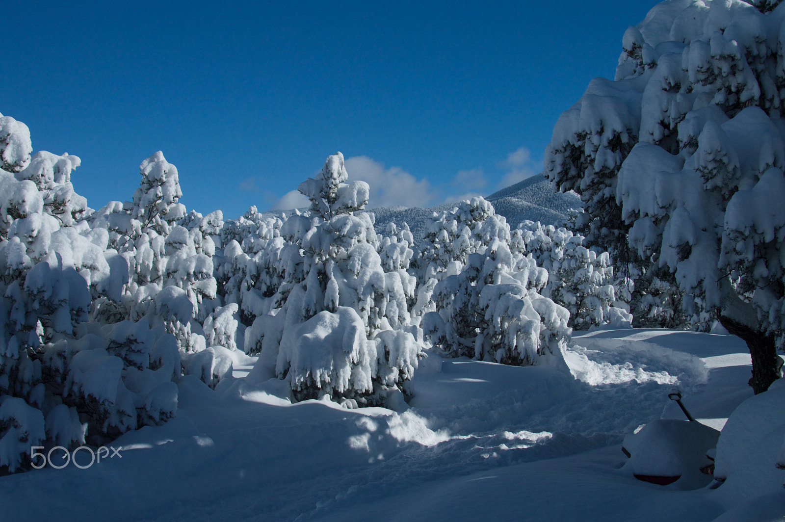 Nikon D3200 sample photo. Big snow i photography