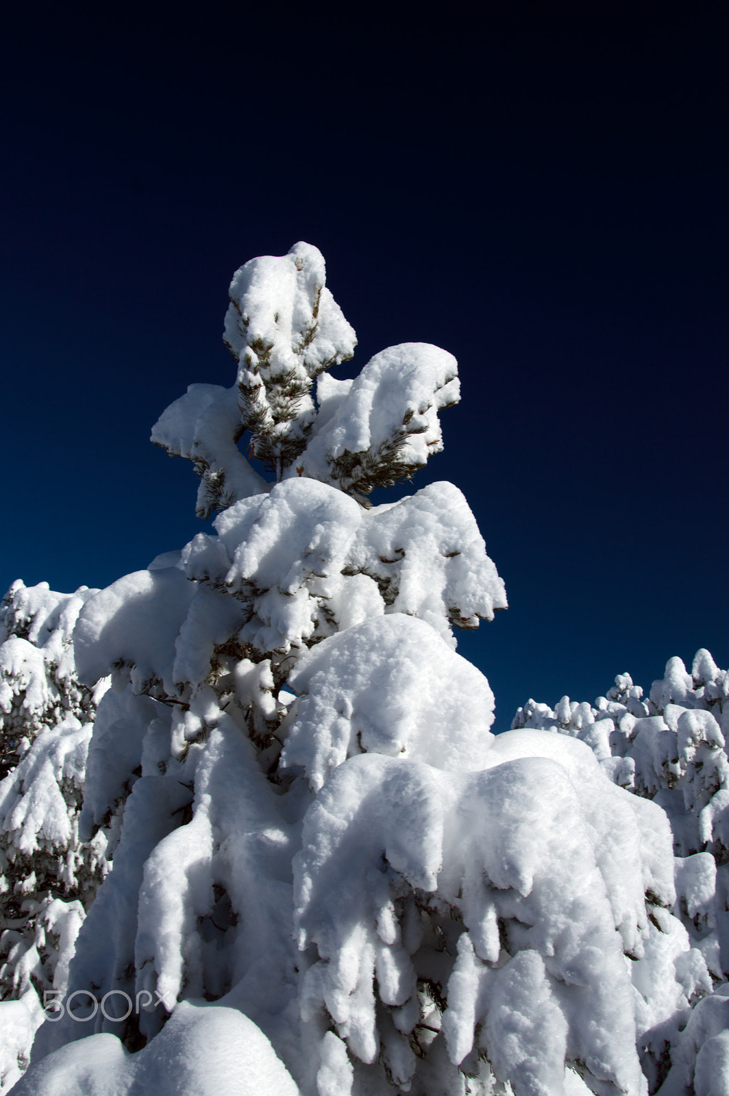 Nikon D3200 sample photo. Big snow iii photography