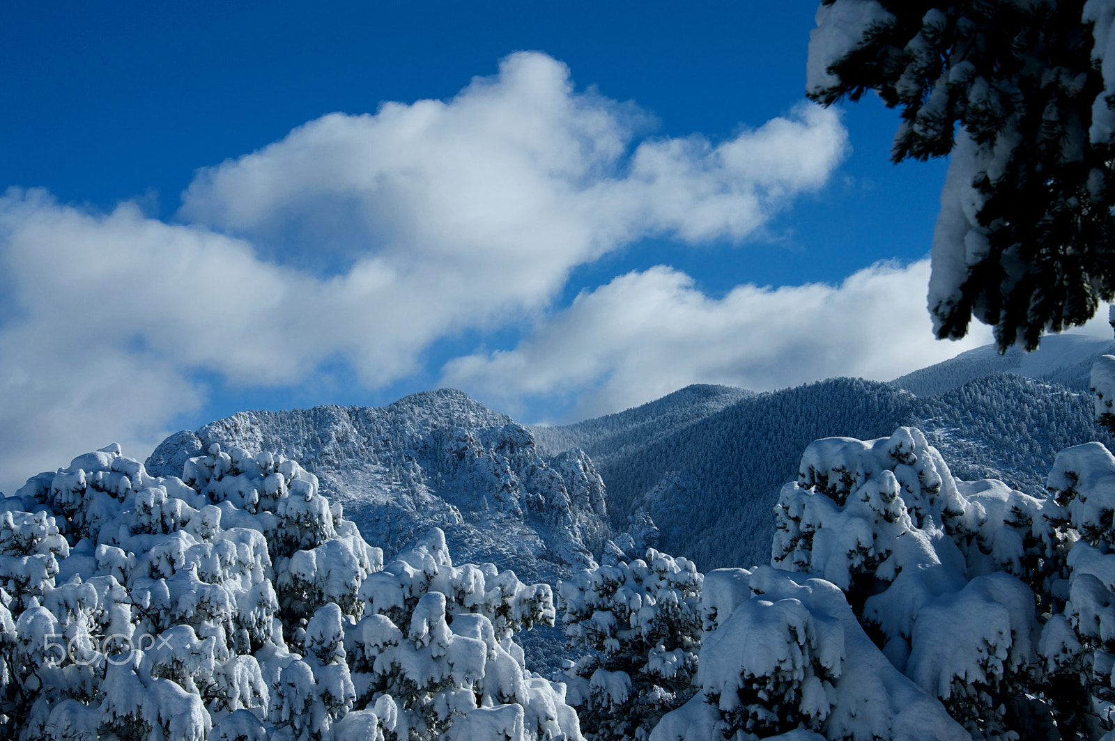 Nikon D3200 sample photo. Big snow ii photography