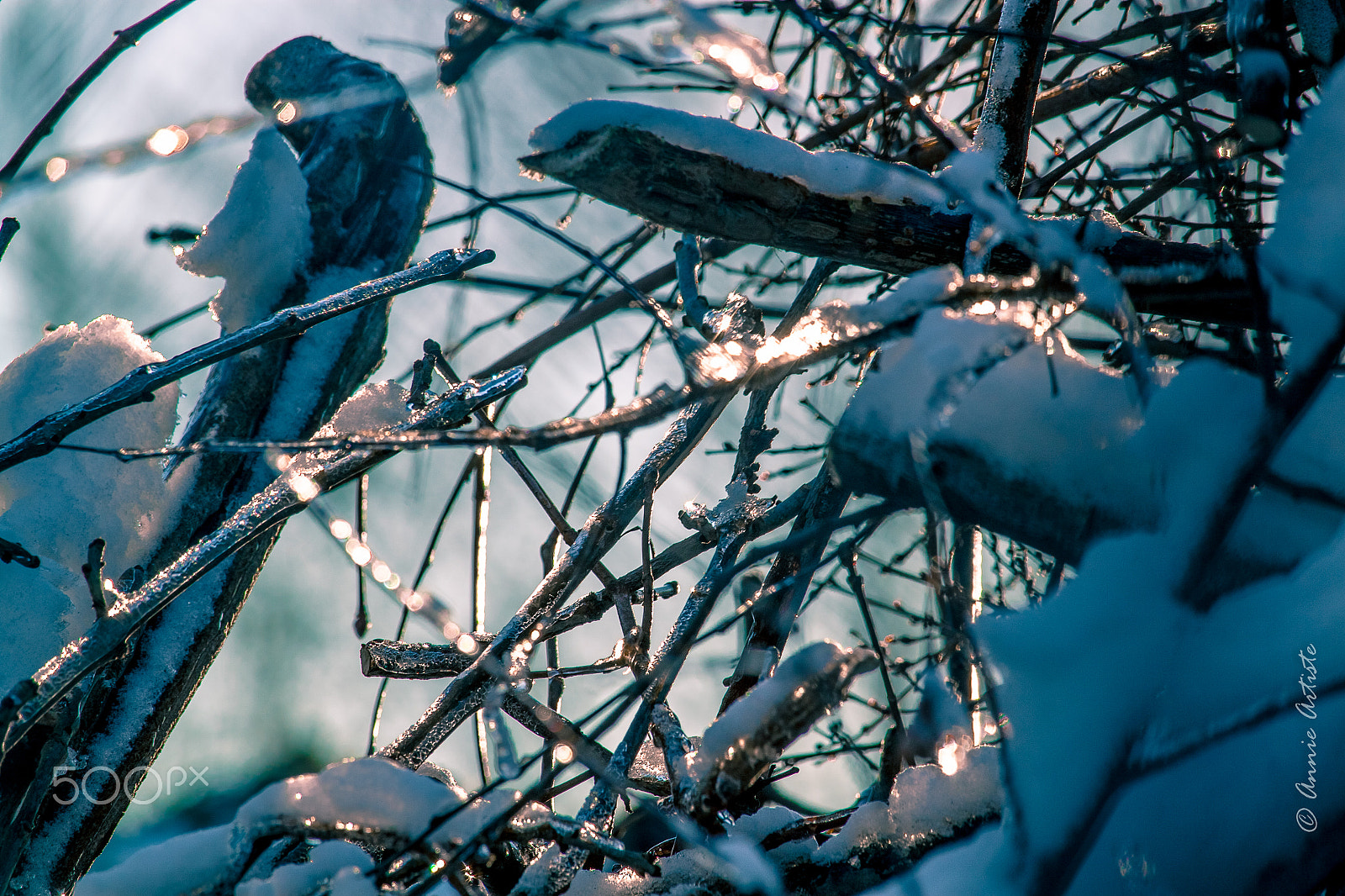 Canon EF-S 55-250mm F4-5.6 IS STM sample photo. Glacé / delightfully frozen photography