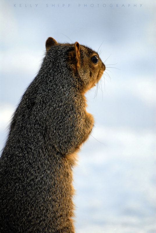 Nikon D200 sample photo. Moments of warmth in snow photography