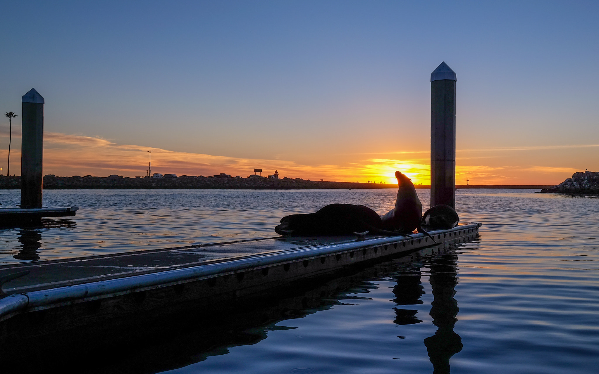 Fujifilm X-T10 + Fujifilm XF 10-24mm F4 R OIS sample photo. Oceanside harbor photography