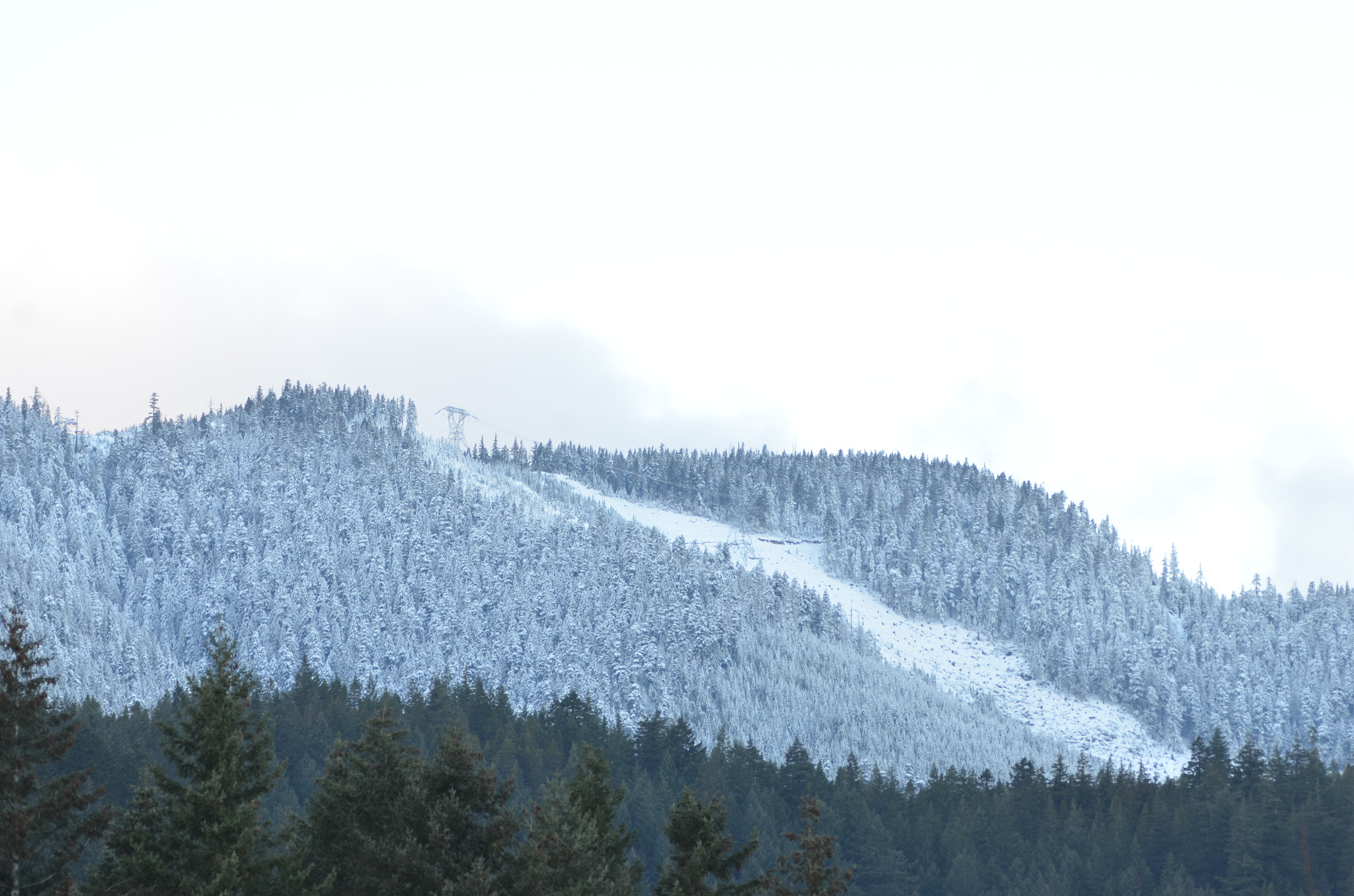 Sigma 150-500mm F5-6.3 DG OS HSM sample photo. Chilliwack, winters day. photography