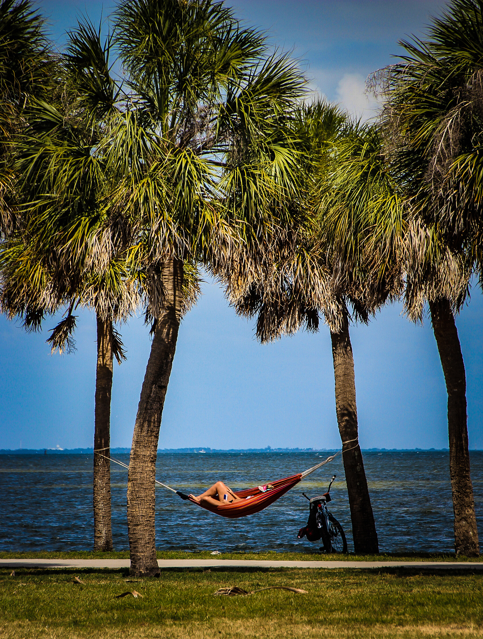 Canon EOS 600D (Rebel EOS T3i / EOS Kiss X5) sample photo. Hammock by the bay photography