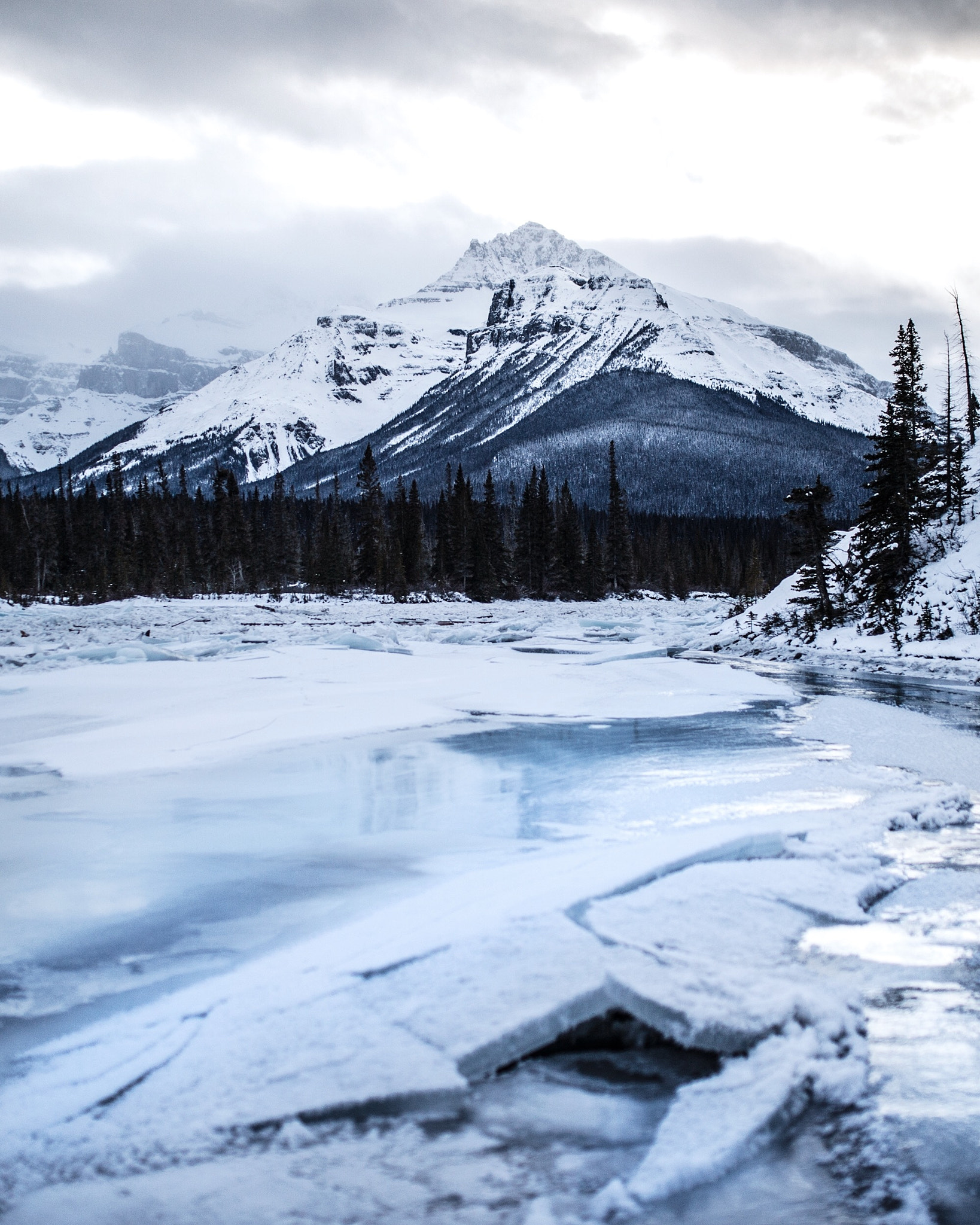 Nikon D4 sample photo. Standing on a frozen saskatchewan river. banff. alberta. photography