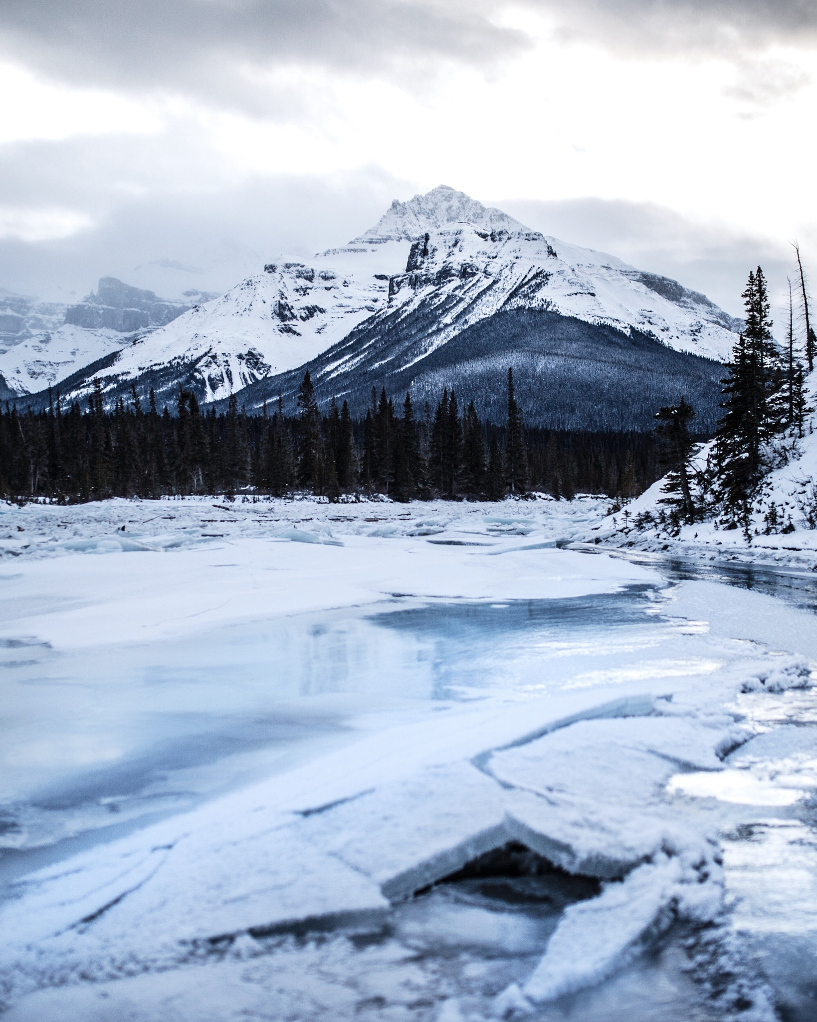Sigma 35mm F1.4 DG HSM Art sample photo. Standing on a frozen saskatchewan river. banff. alberta. photography