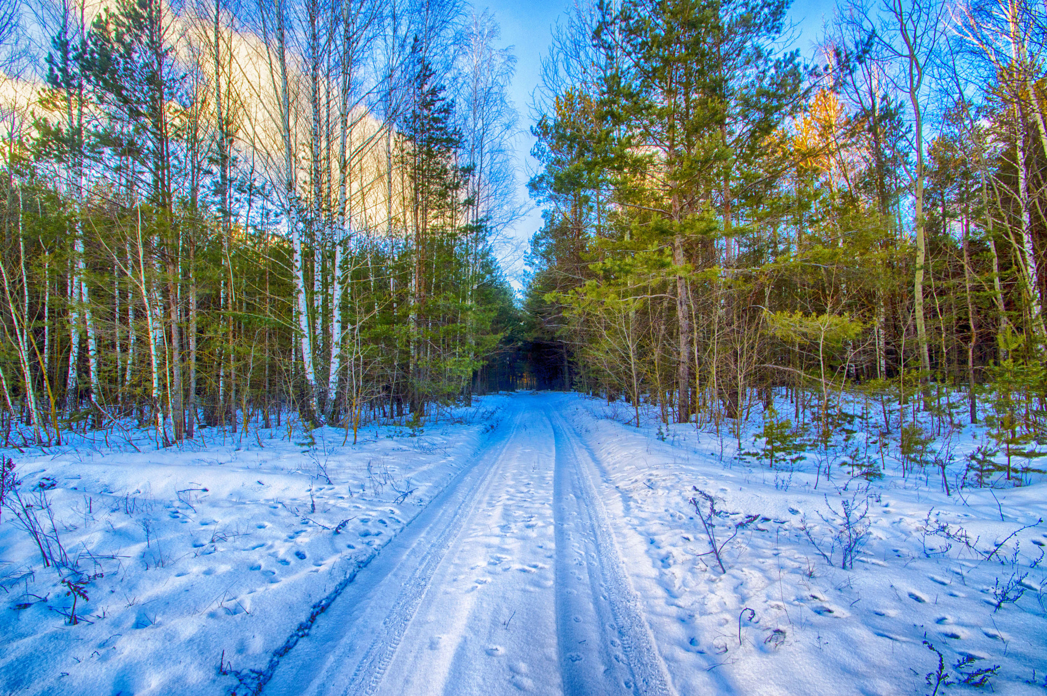 Nikon D3200 sample photo. Зимний путь photography