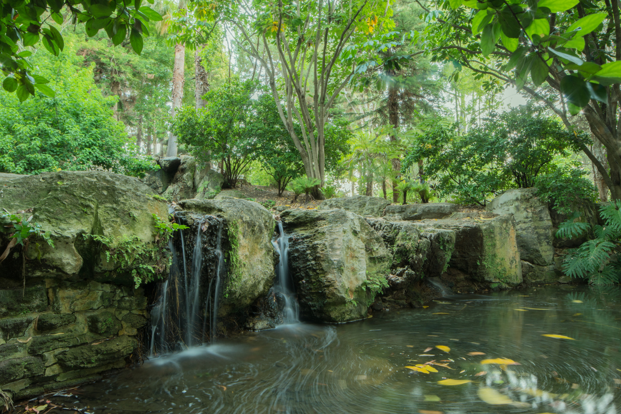 Samyang 14mm F2.8 ED AS IF UMC sample photo. John oldham park photography