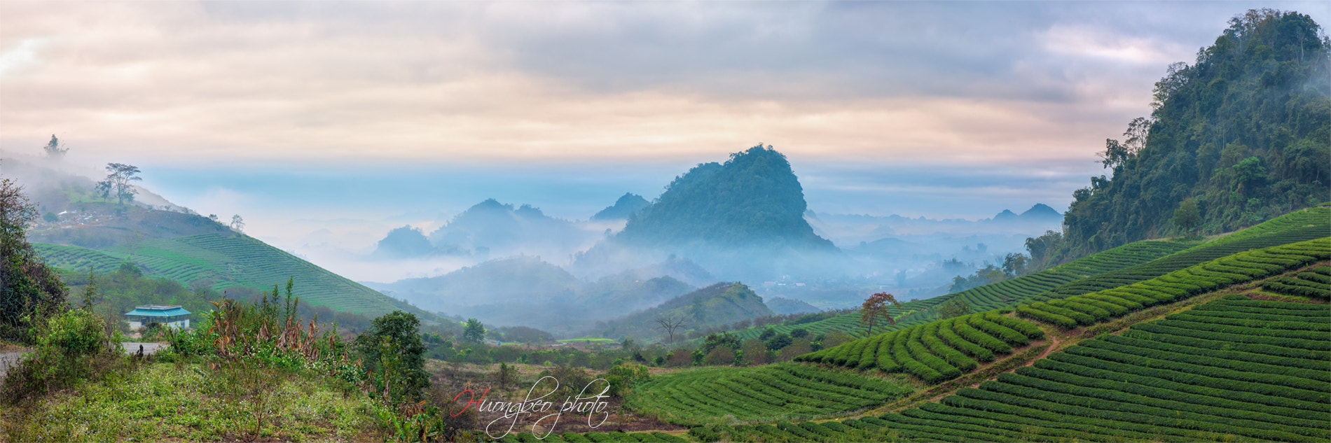 Canon EOS-1Ds Mark III sample photo. Moc chau.viet nam photography