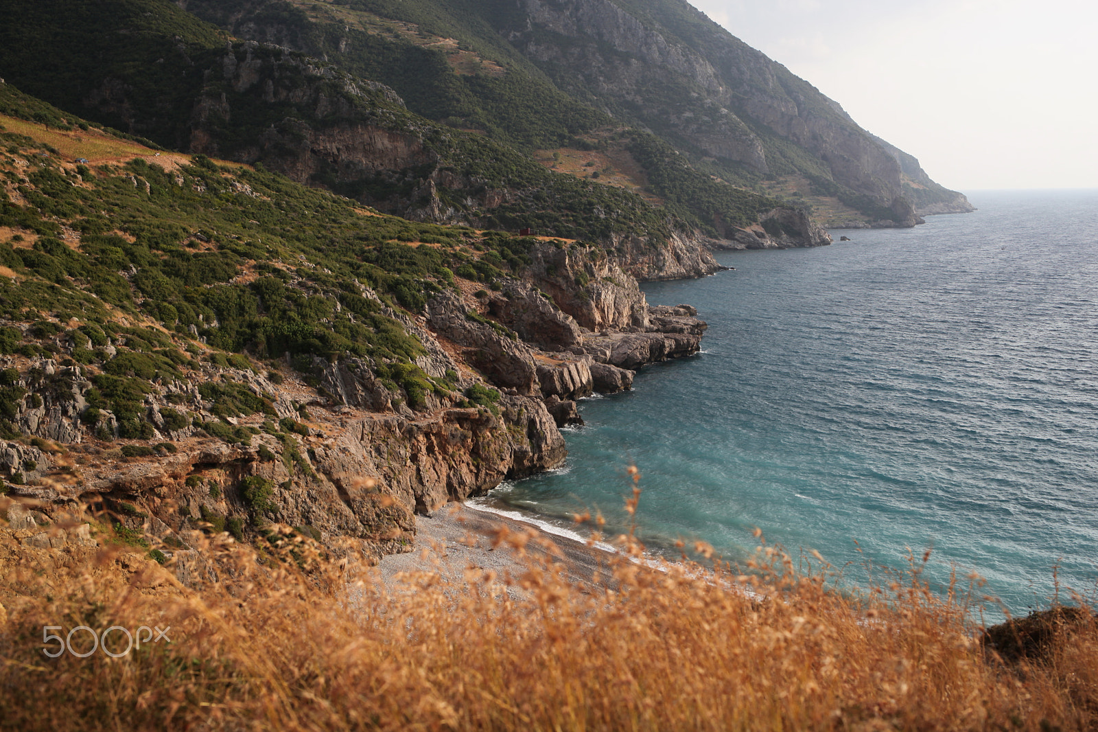 Canon EF 35mm F2 IS USM sample photo. Summer photography