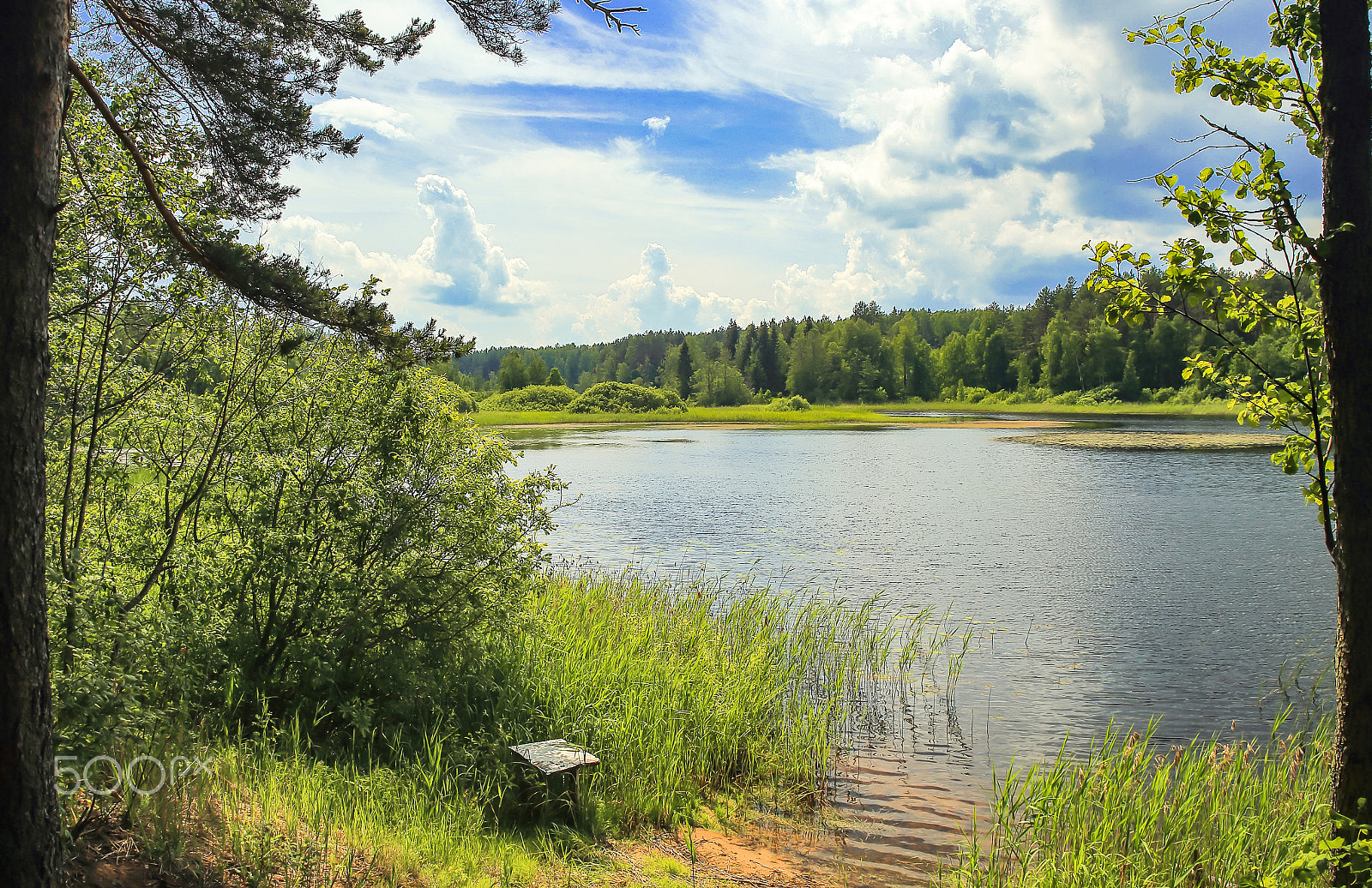 Canon EOS 6D + Canon EF 28-80mm f/2.8-4L sample photo. The lake seliger landscape_6_2016 photography