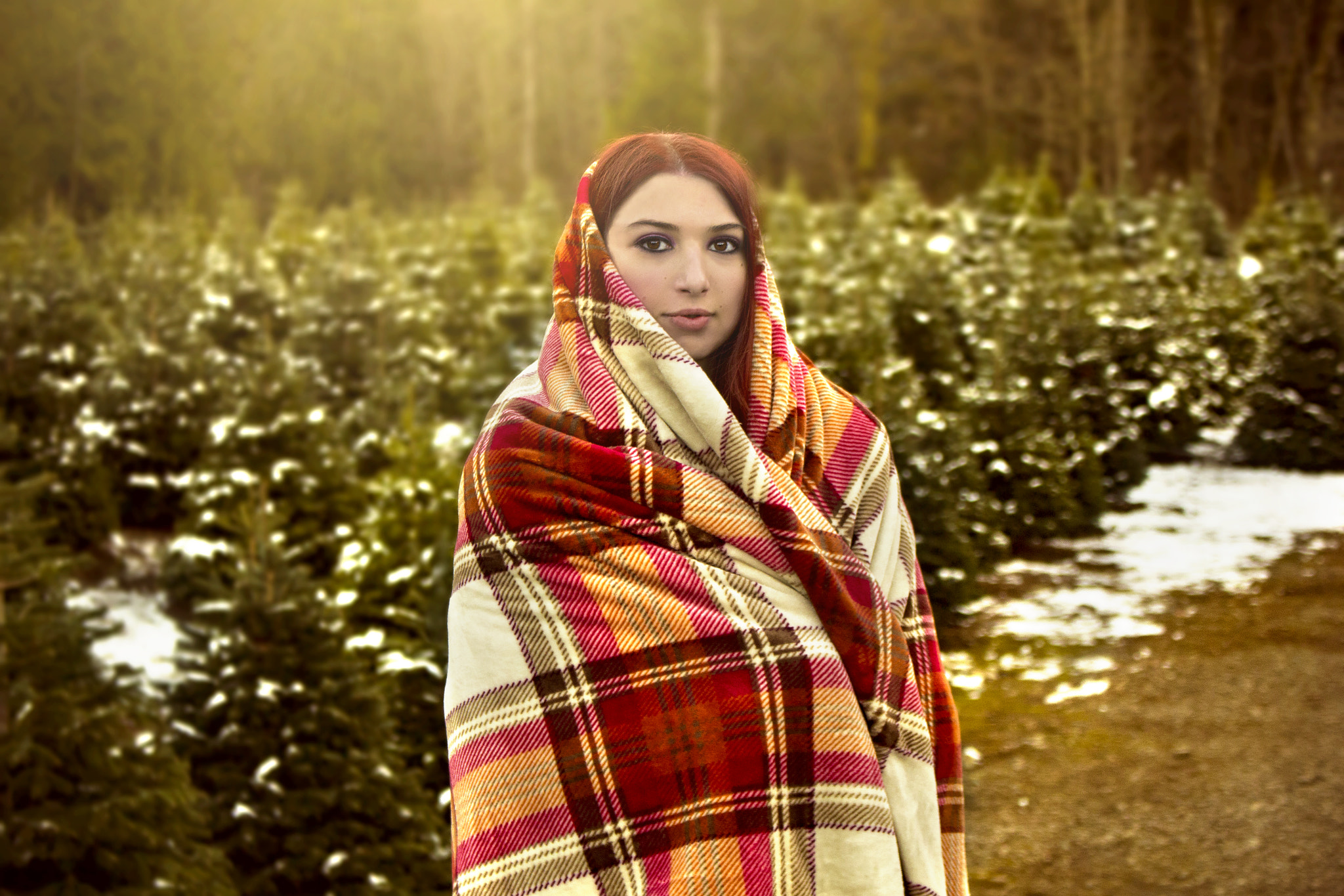 Canon EOS 60D sample photo. Blanket and firs photography