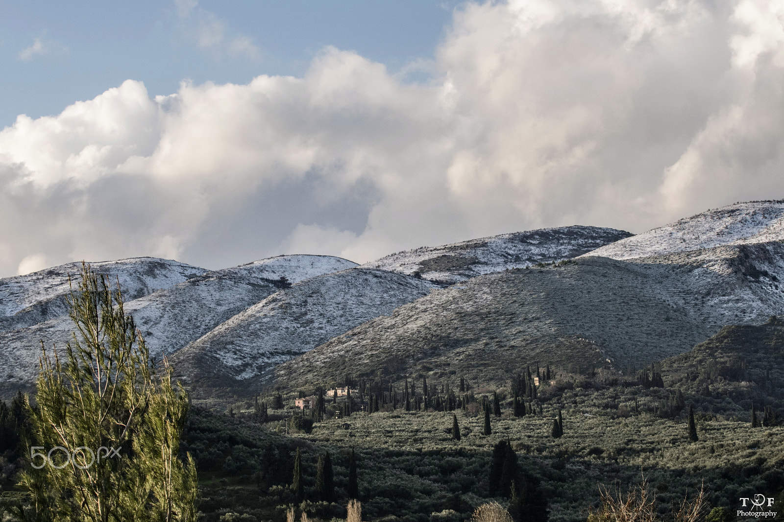 Nikon D500 sample photo. Snow... photography