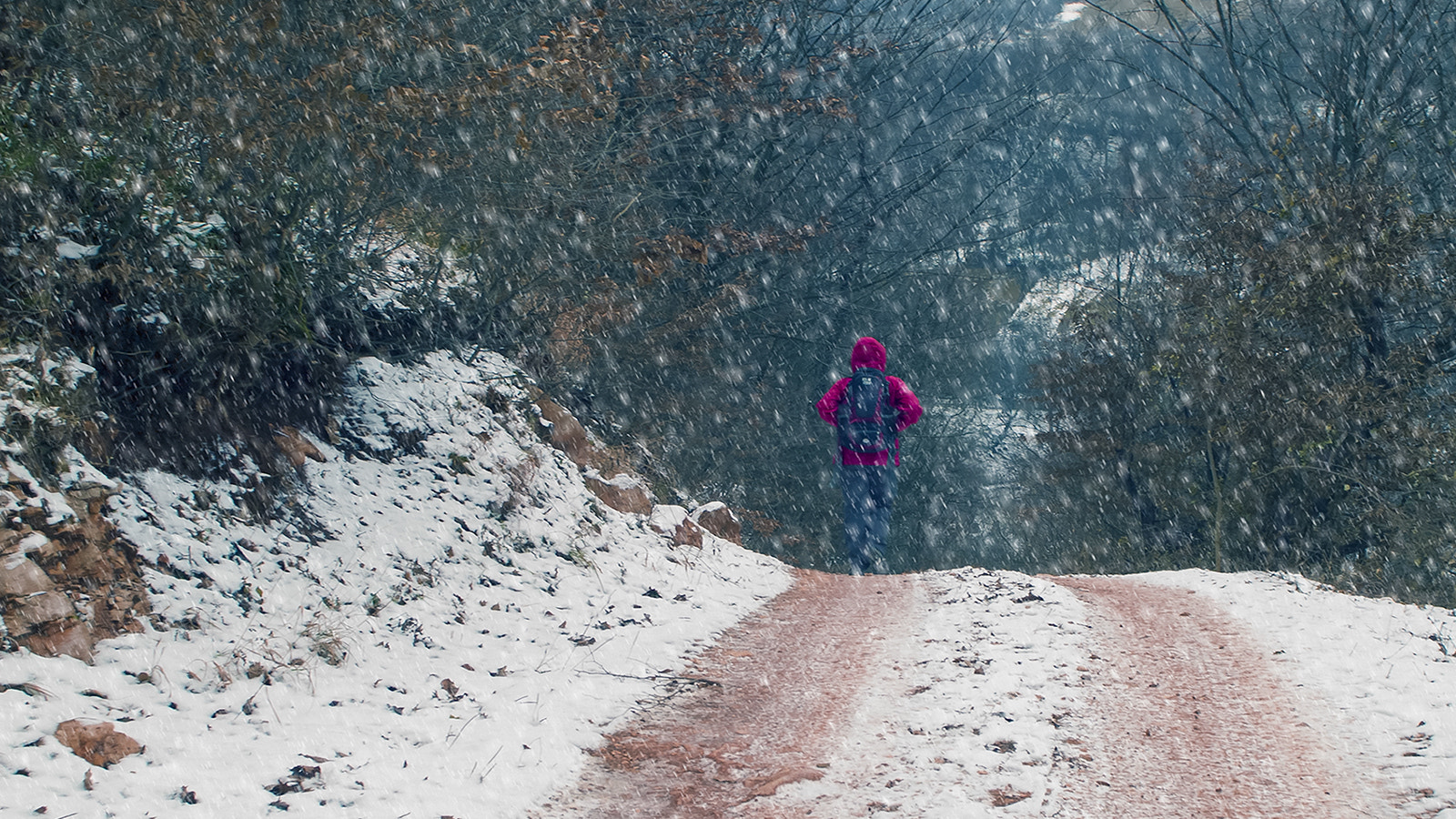 Sigma SD15 sample photo. Winter road photography