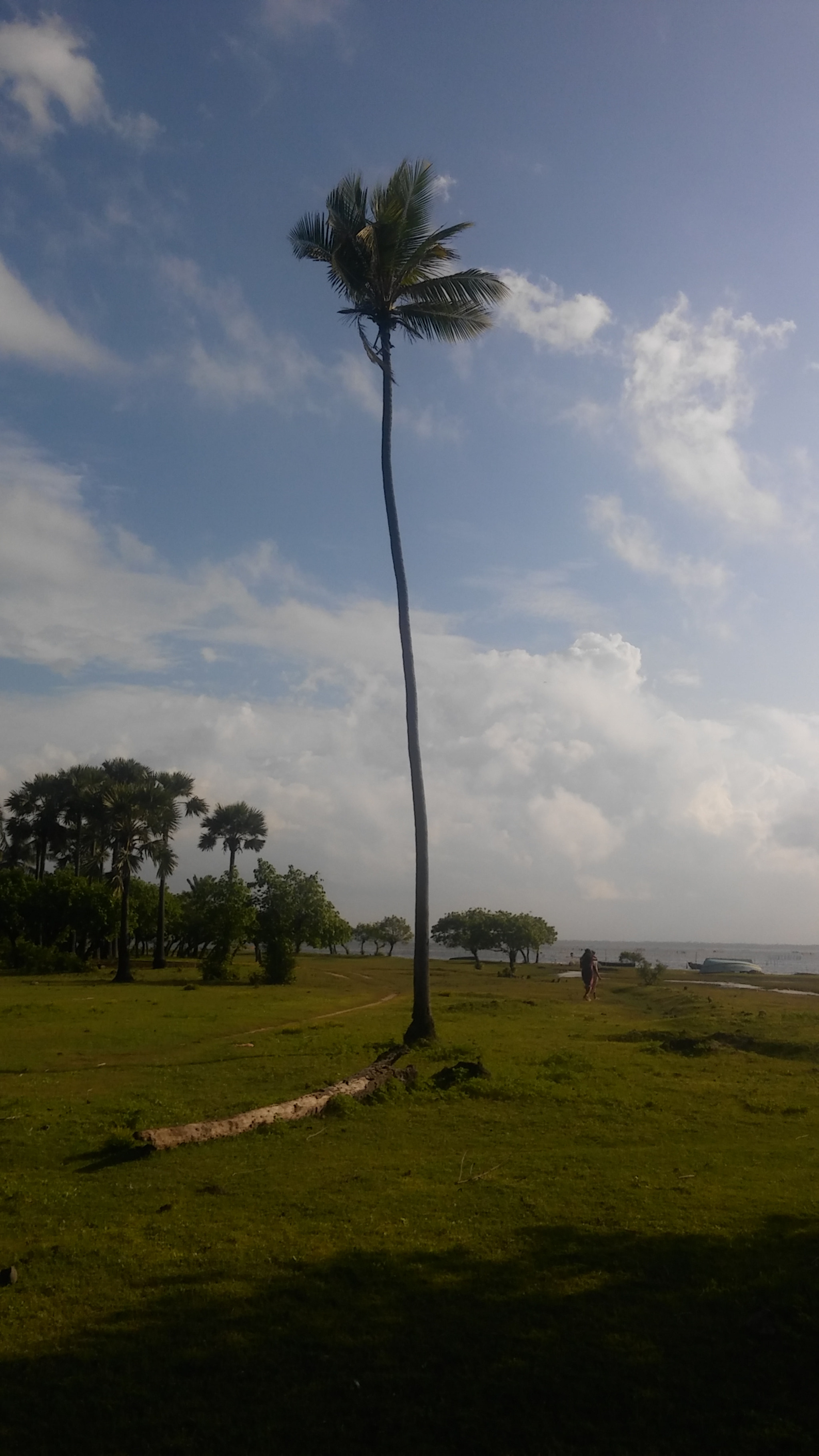 LG G STYLO sample photo
