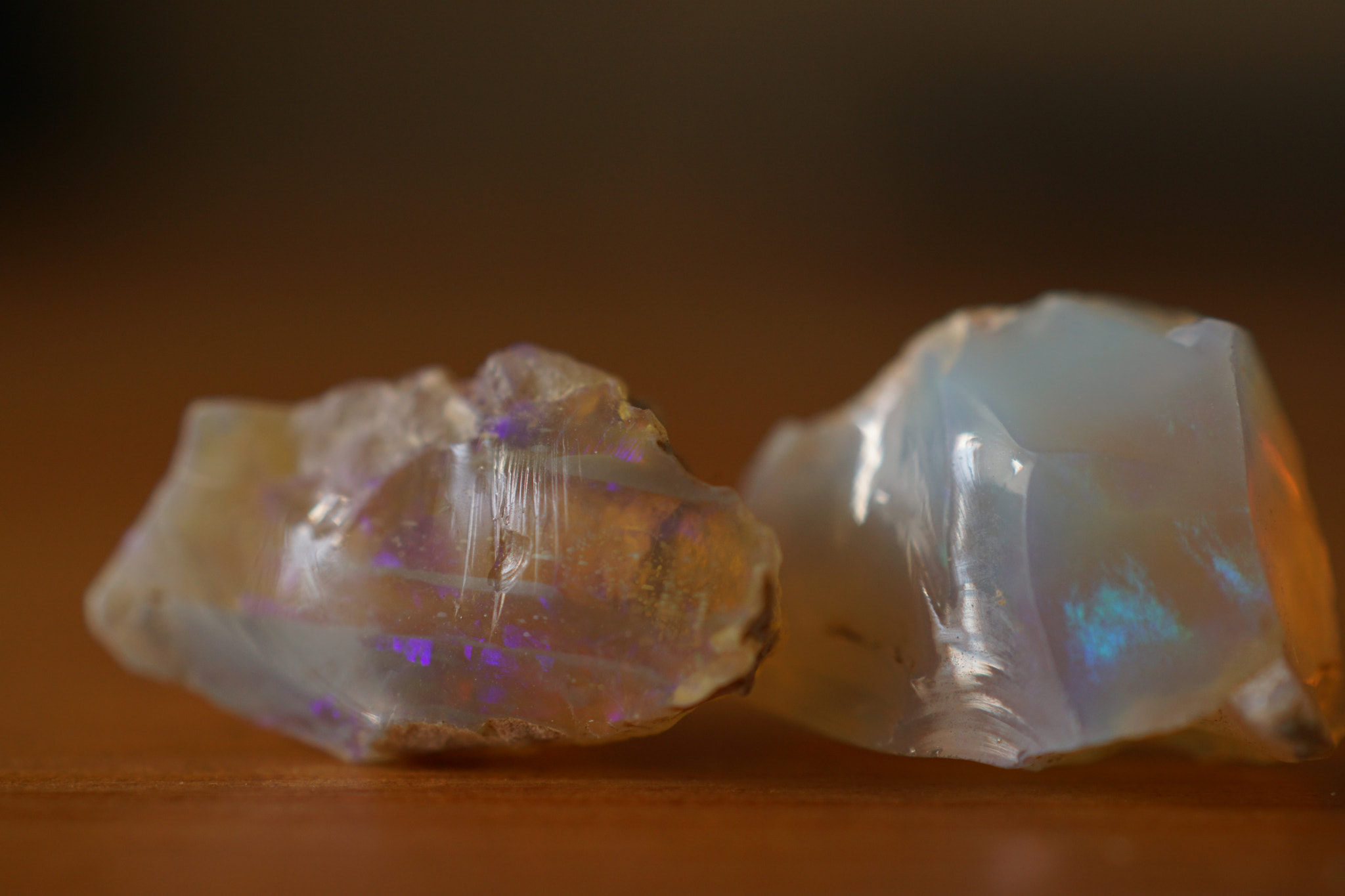 Sony DT 30mm F2.8 Macro SAM sample photo. Opal photography