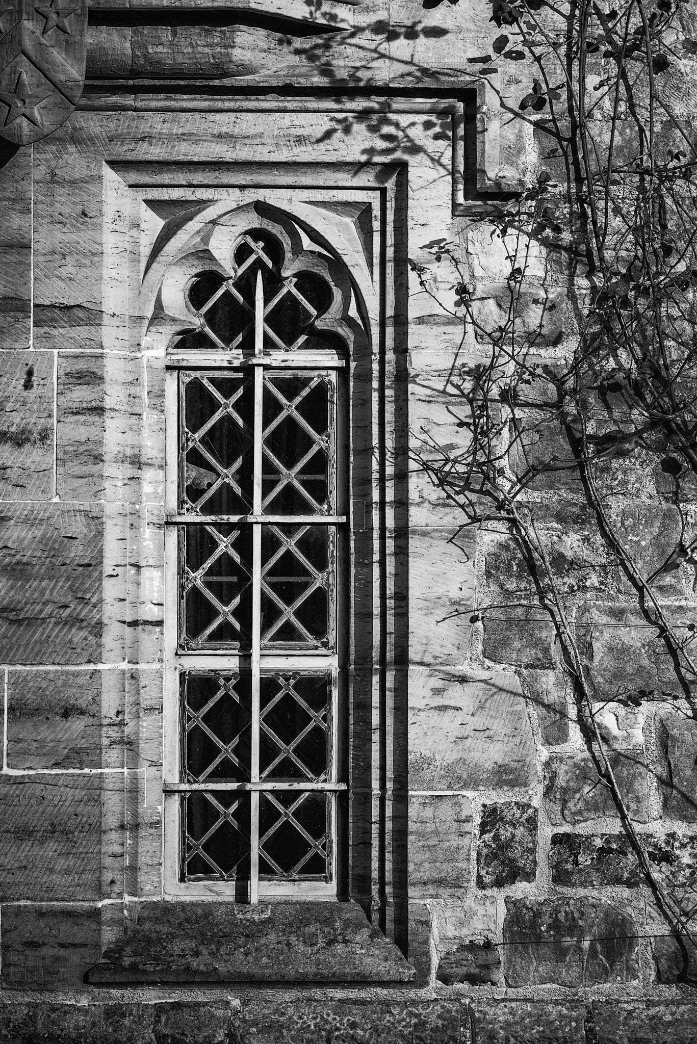 Nikon D800 + Sigma 105mm F2.8 EX DG Macro sample photo. Monochrome detail image of regency period design window in medie photography