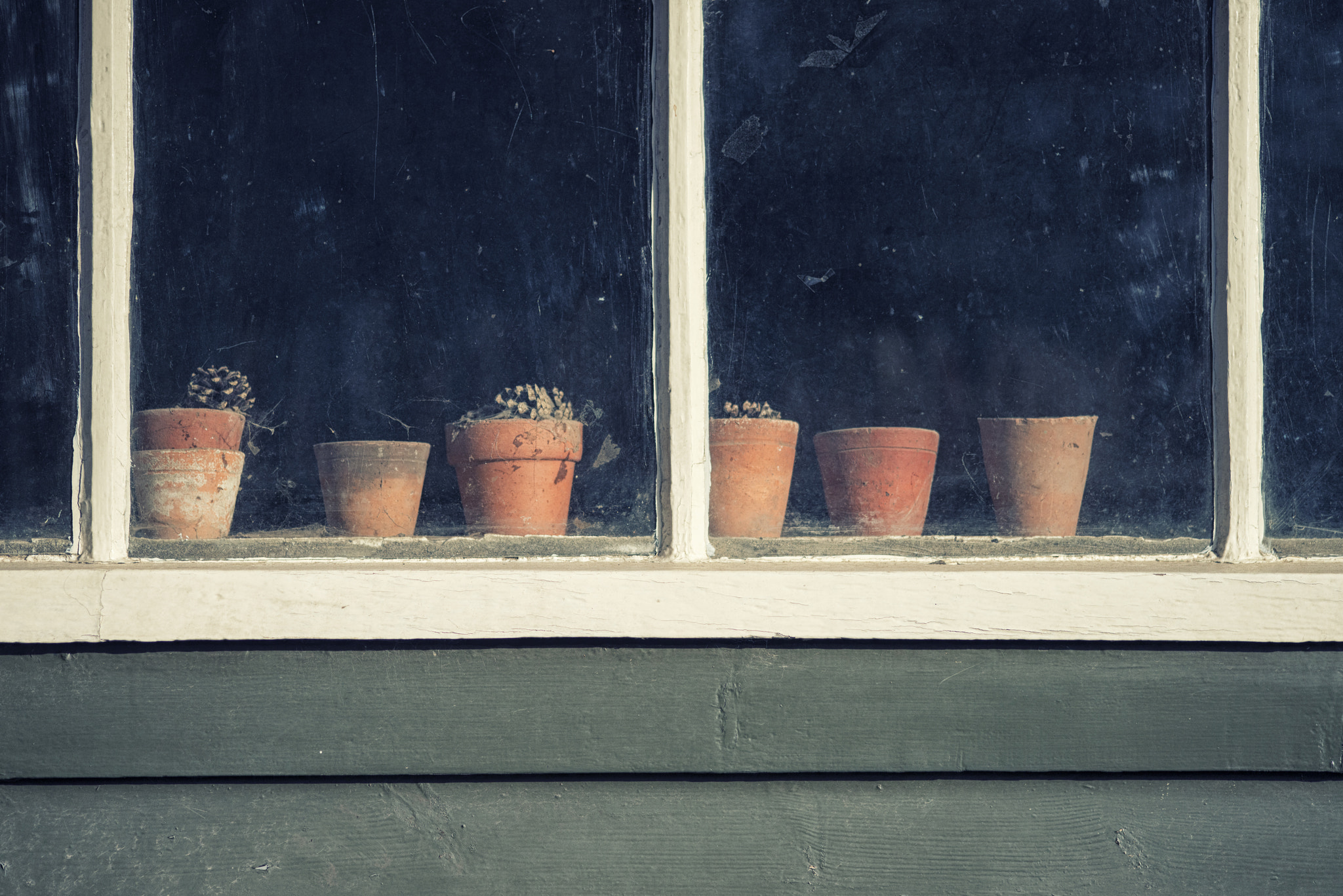 Nikon D800 + Sigma 105mm F2.8 EX DG Macro sample photo. Dying plants on pots in window of old vintage retro potting shed photography