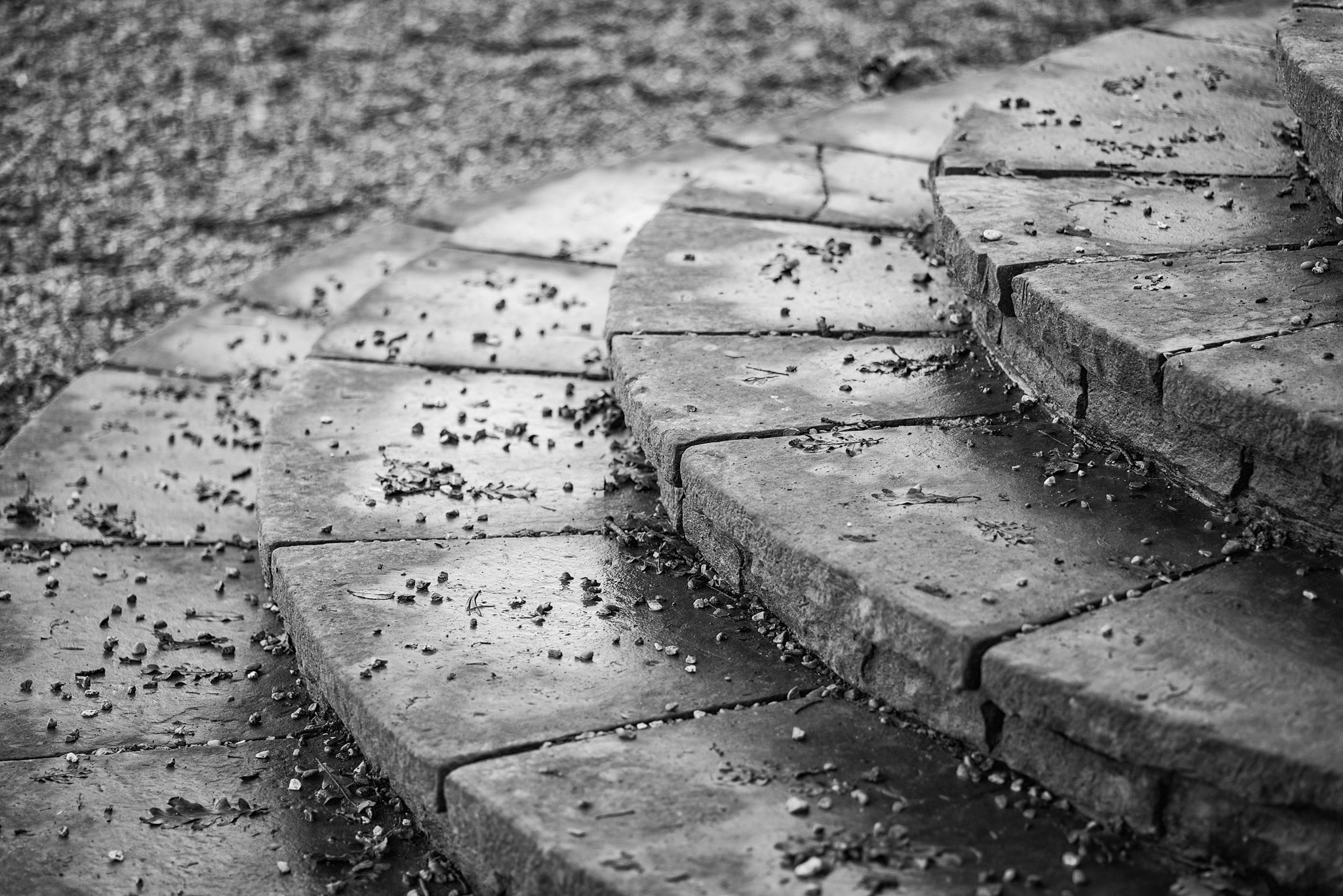 Nikon D800 + Sigma 105mm F2.8 EX DG Macro sample photo. Black and white detail image of regency period design steps into photography