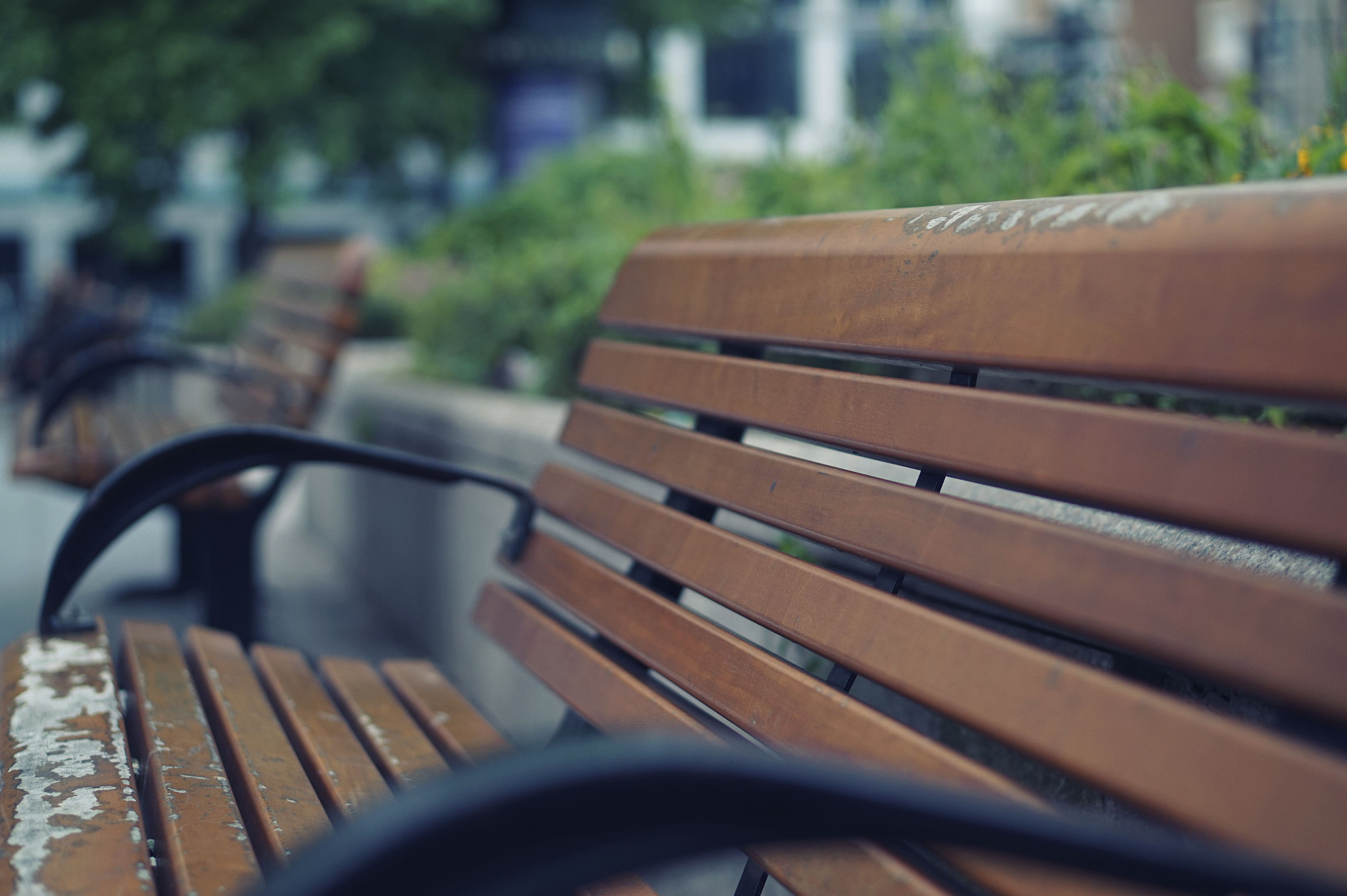 Sony Alpha a5000 (ILCE 5000) + E 50mm F1.8 OSS sample photo. Les bancs publics photography