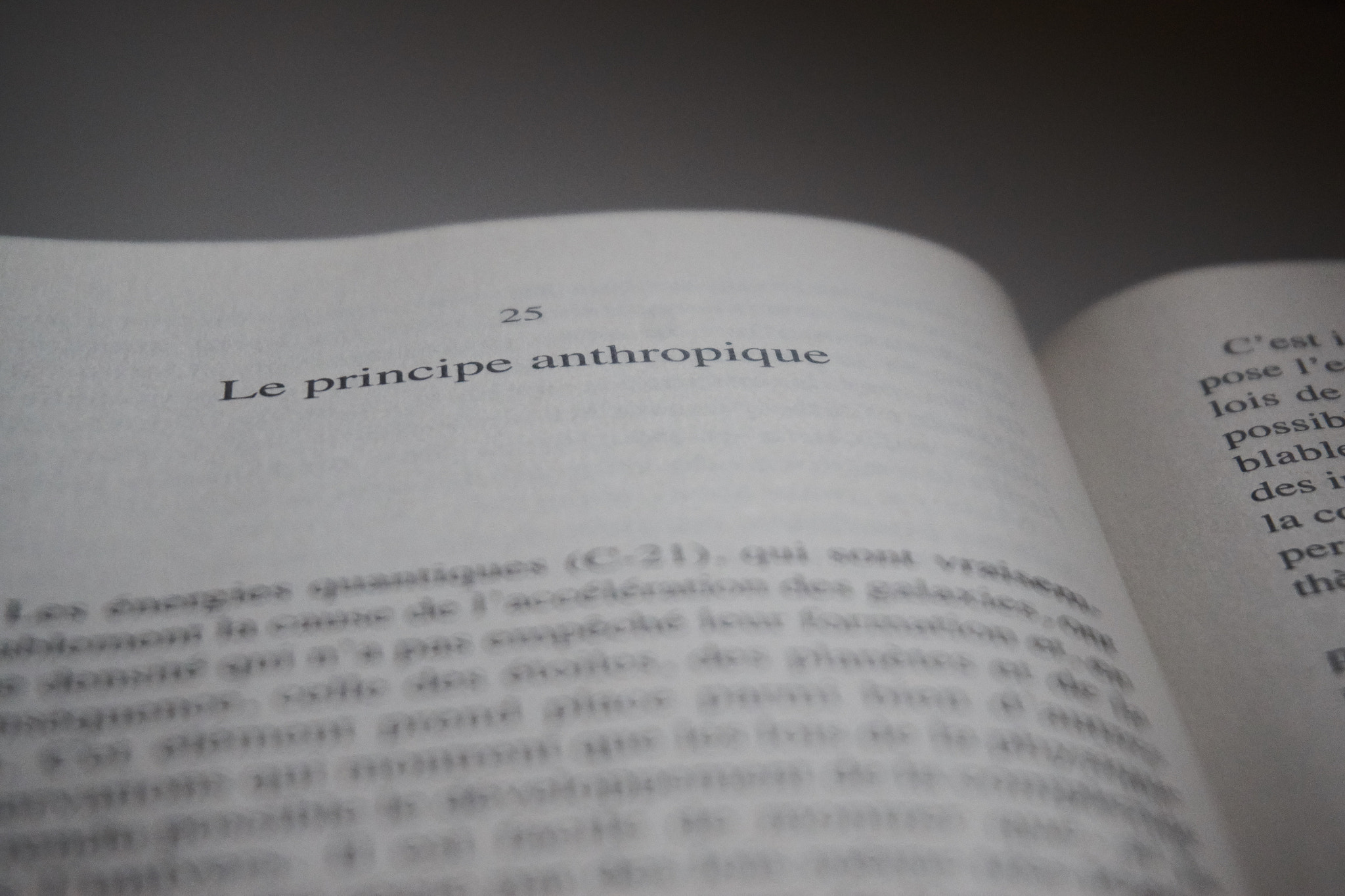 Sony Alpha a5000 (ILCE 5000) sample photo. Le principe anthropique photography