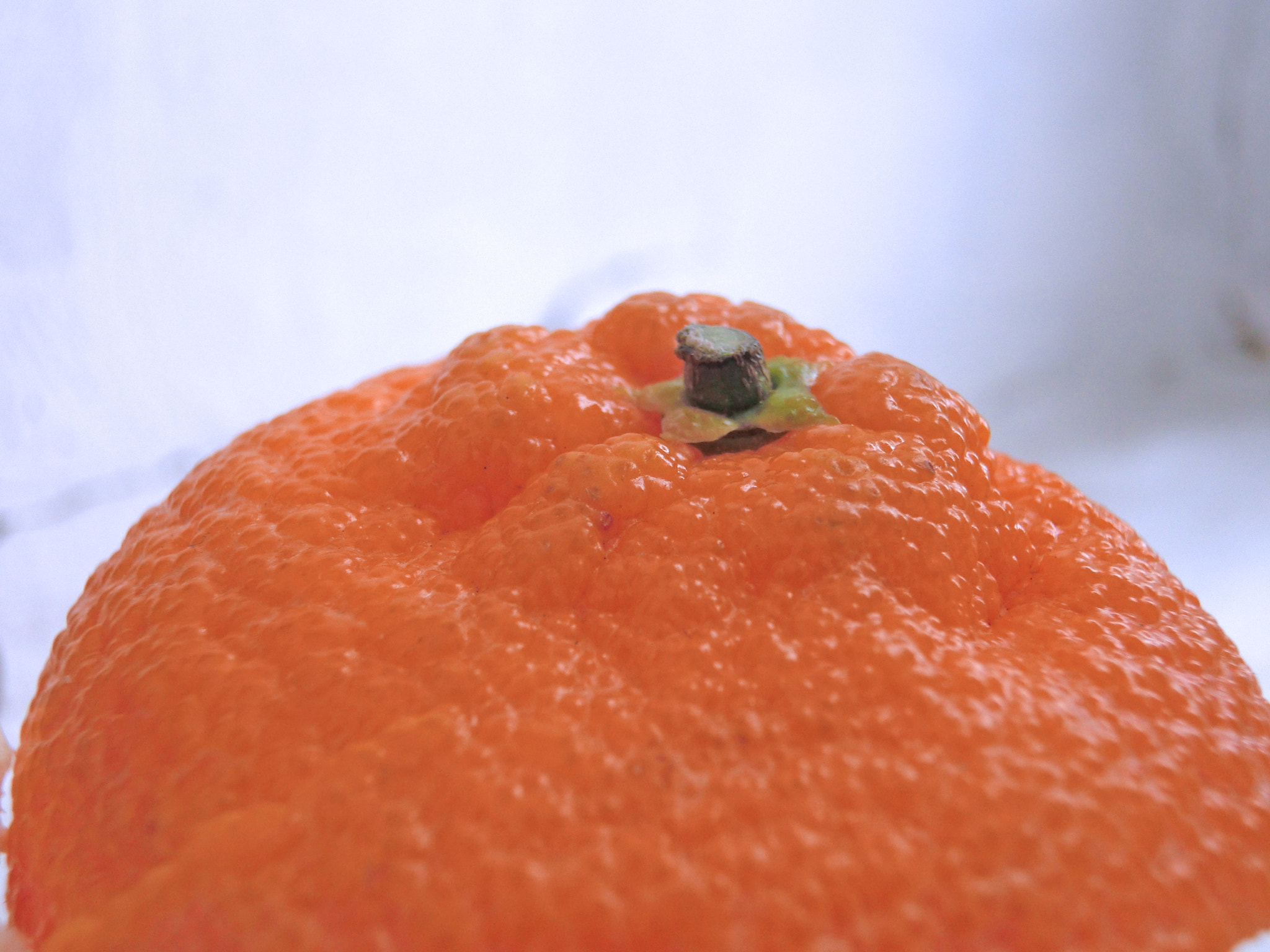 CASIO EX-ZR300 sample photo. Orange style photography