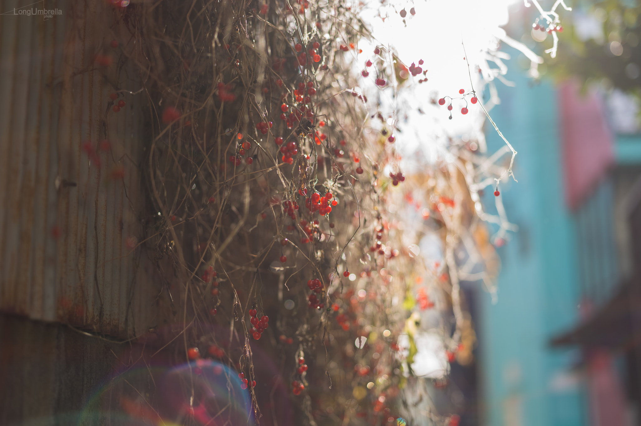 Leica S (TYP 006) + Summarit-S 70 sample photo. Alley photography