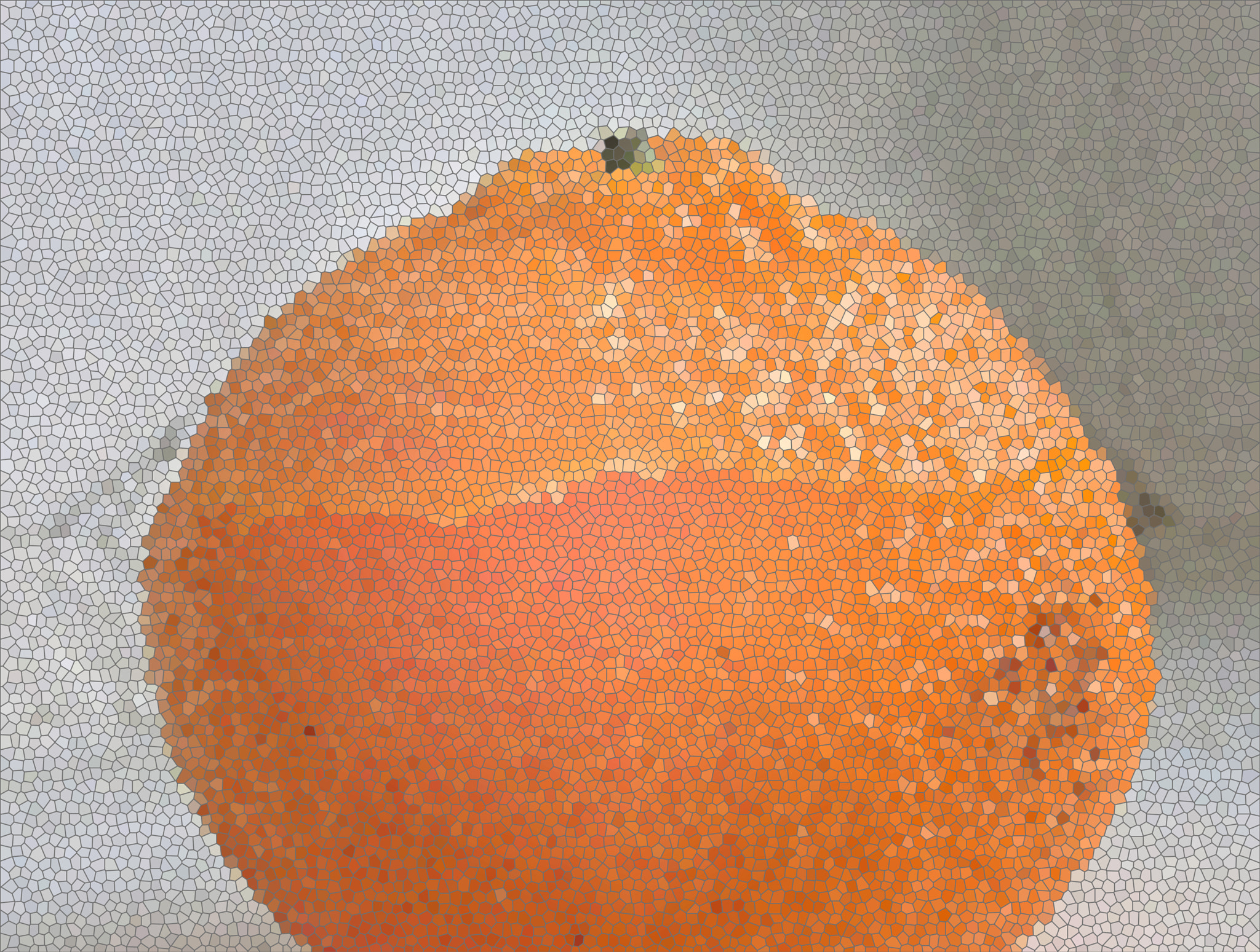 CASIO EX-ZR300 sample photo. Fruit orange photography