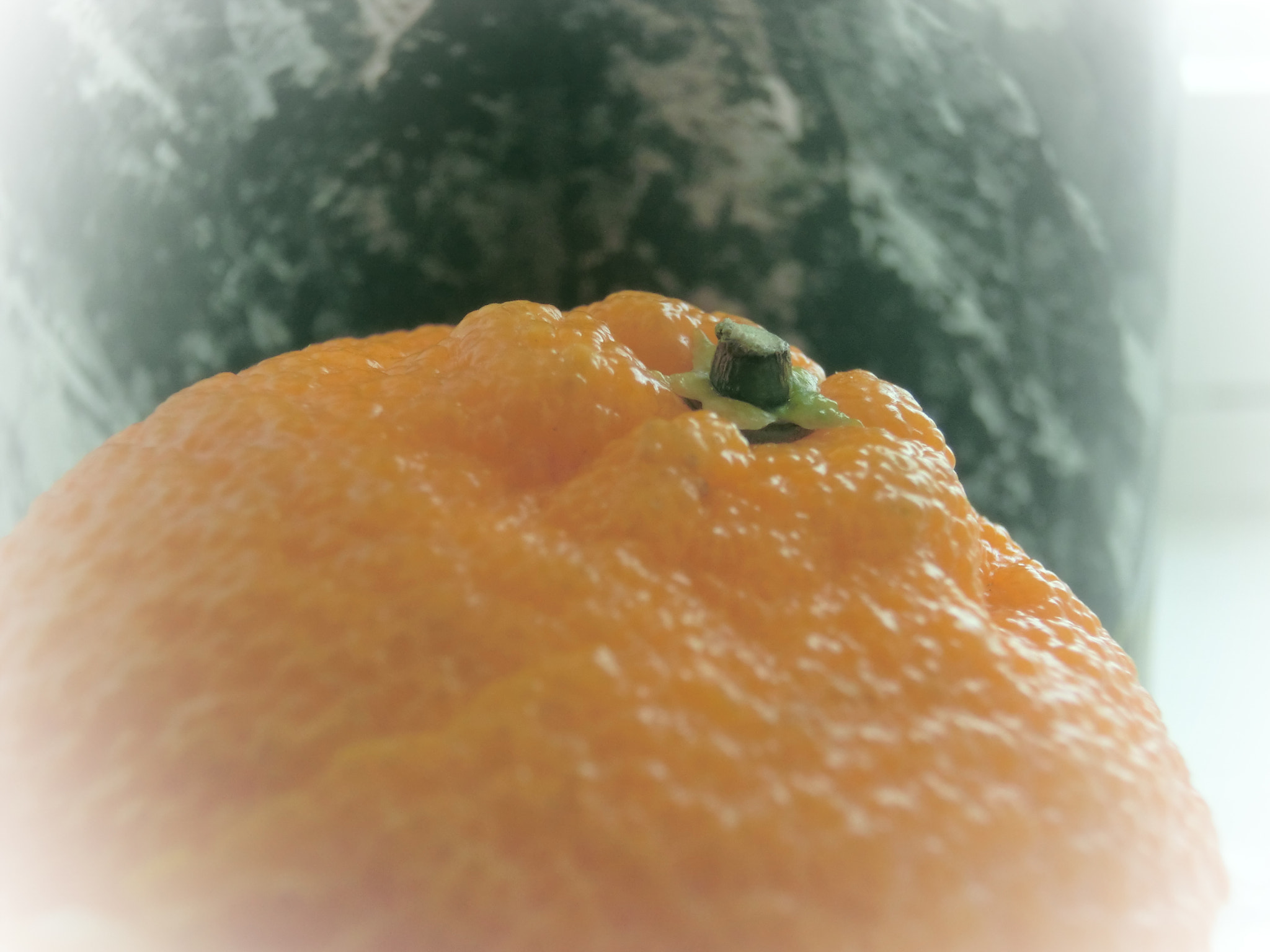 CASIO EX-ZR300 sample photo. Orange mini places photography