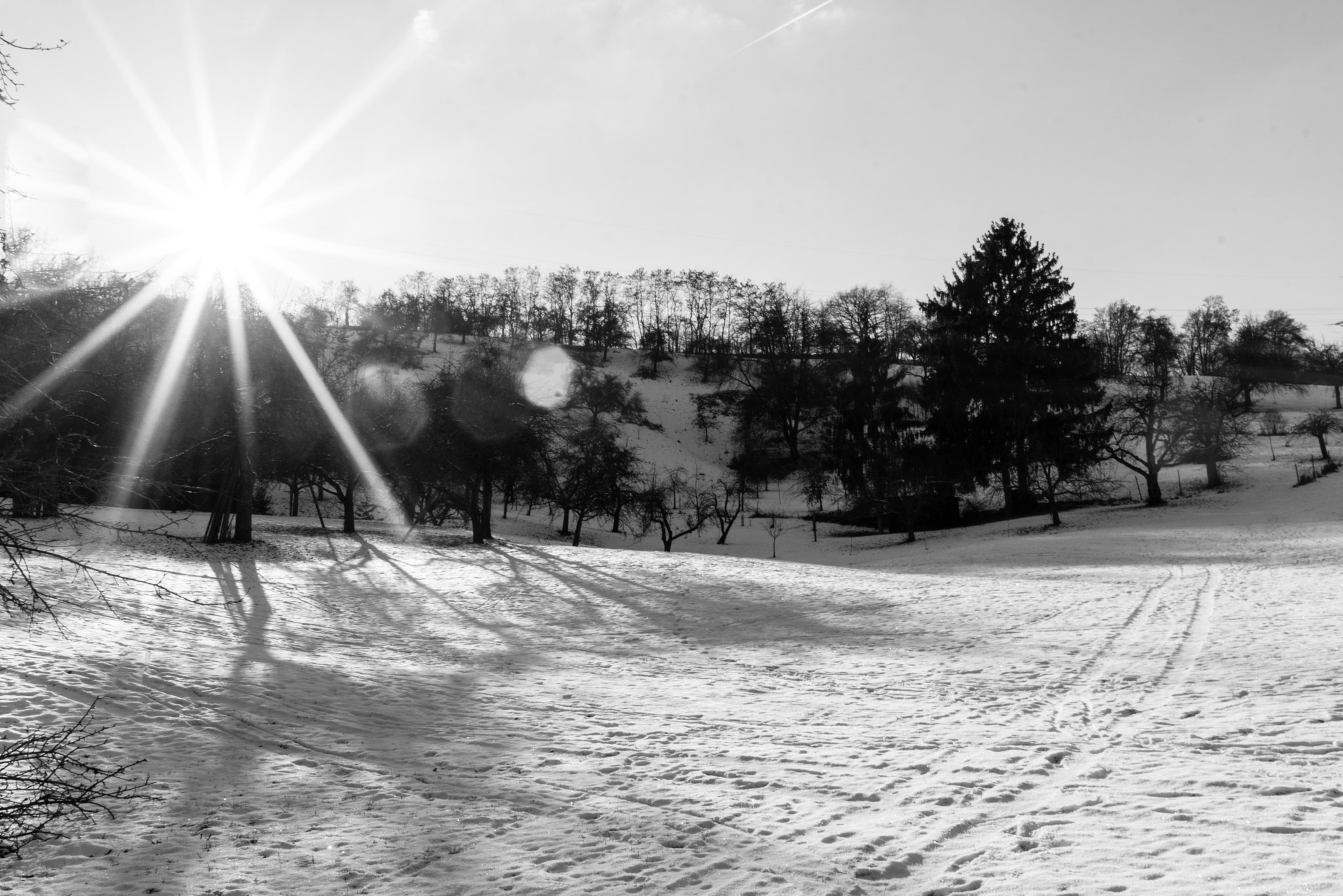 Sony Sonnar T* E 24mm F1.8 ZA sample photo. Lights and shadows in wintertime photography